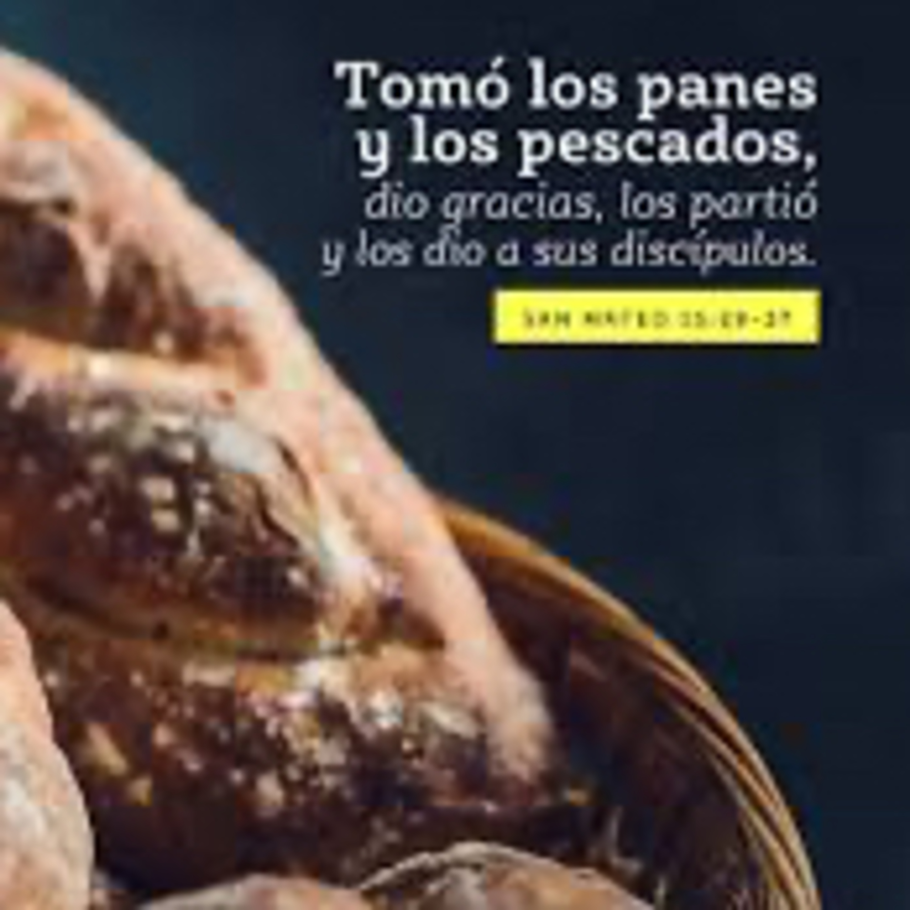 Evangelio del Miércoles 4 de Diciembre. Mateo 15,29-37
