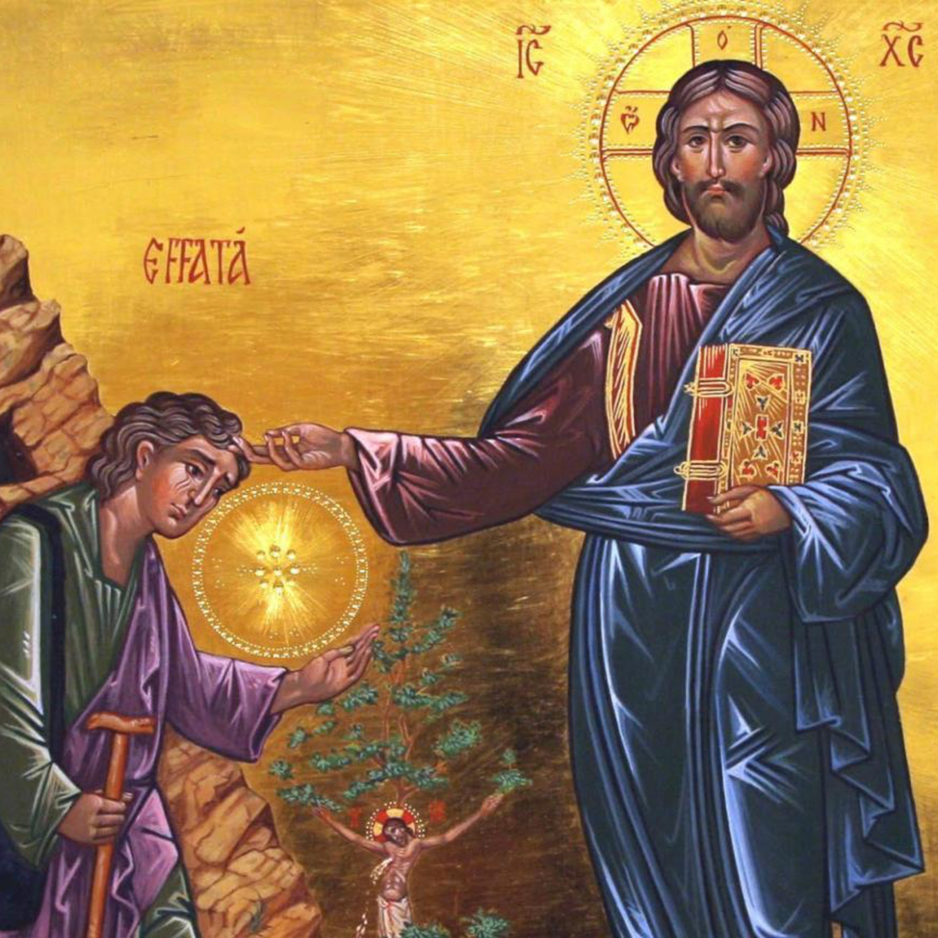 Lectura Diaria del Santo Evangelio y su Meditación