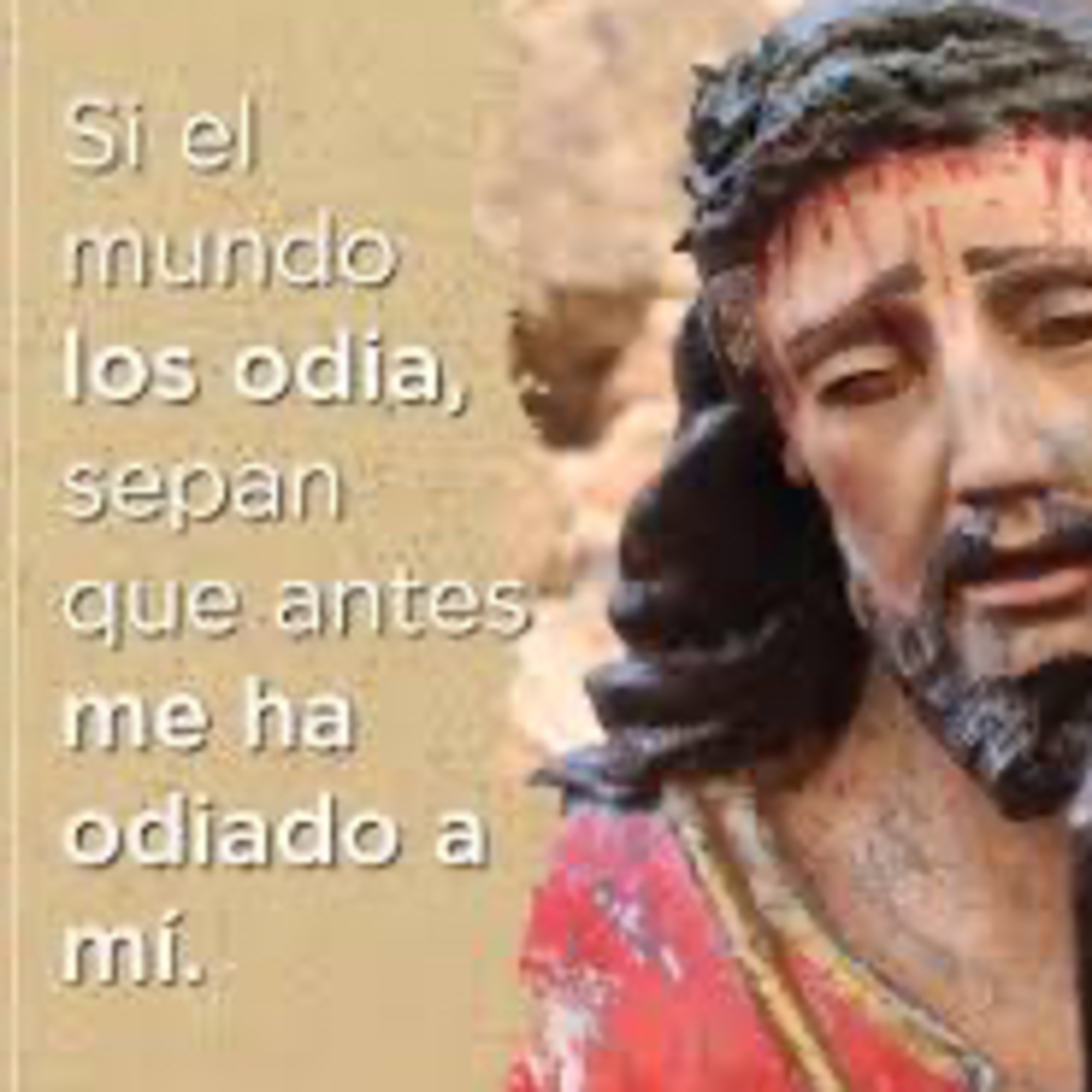 Evangelio del Sábado 24 de Mayo. Juan 15,18-21