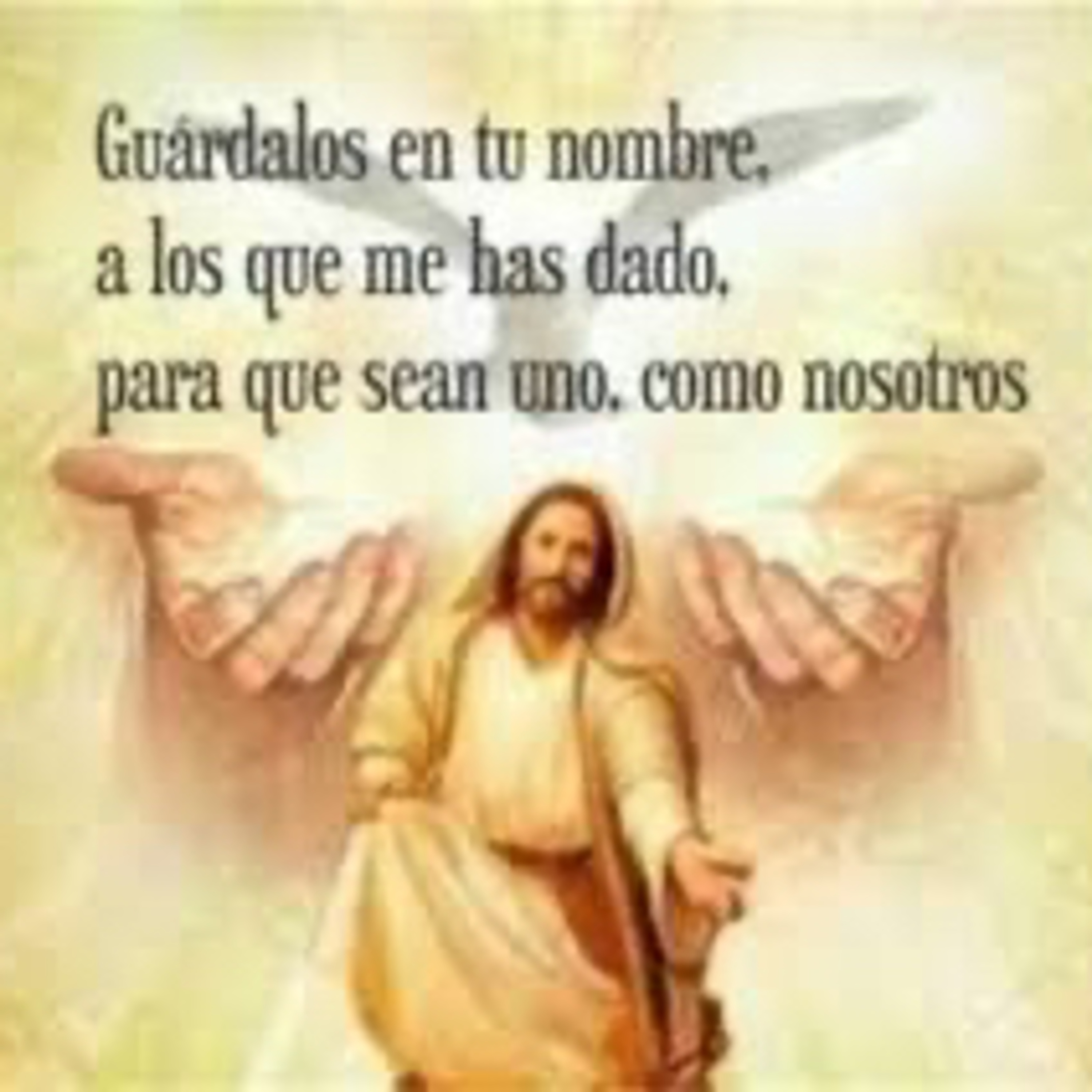 Evangelio del Miércoles 4 de Junio. Juan 17,11b-19