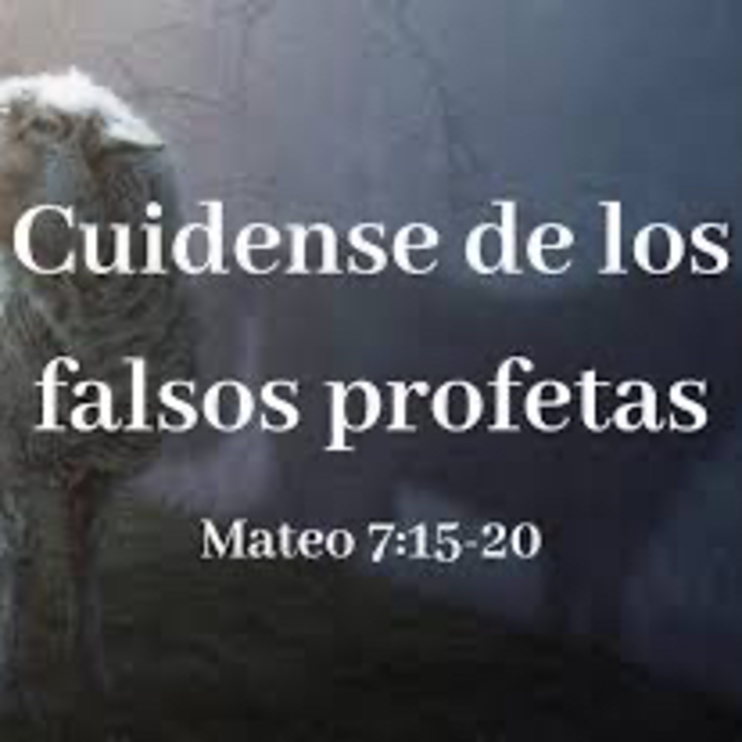 Evangelio del Miércoles 25 de Junio. Mateo 7,15-20.