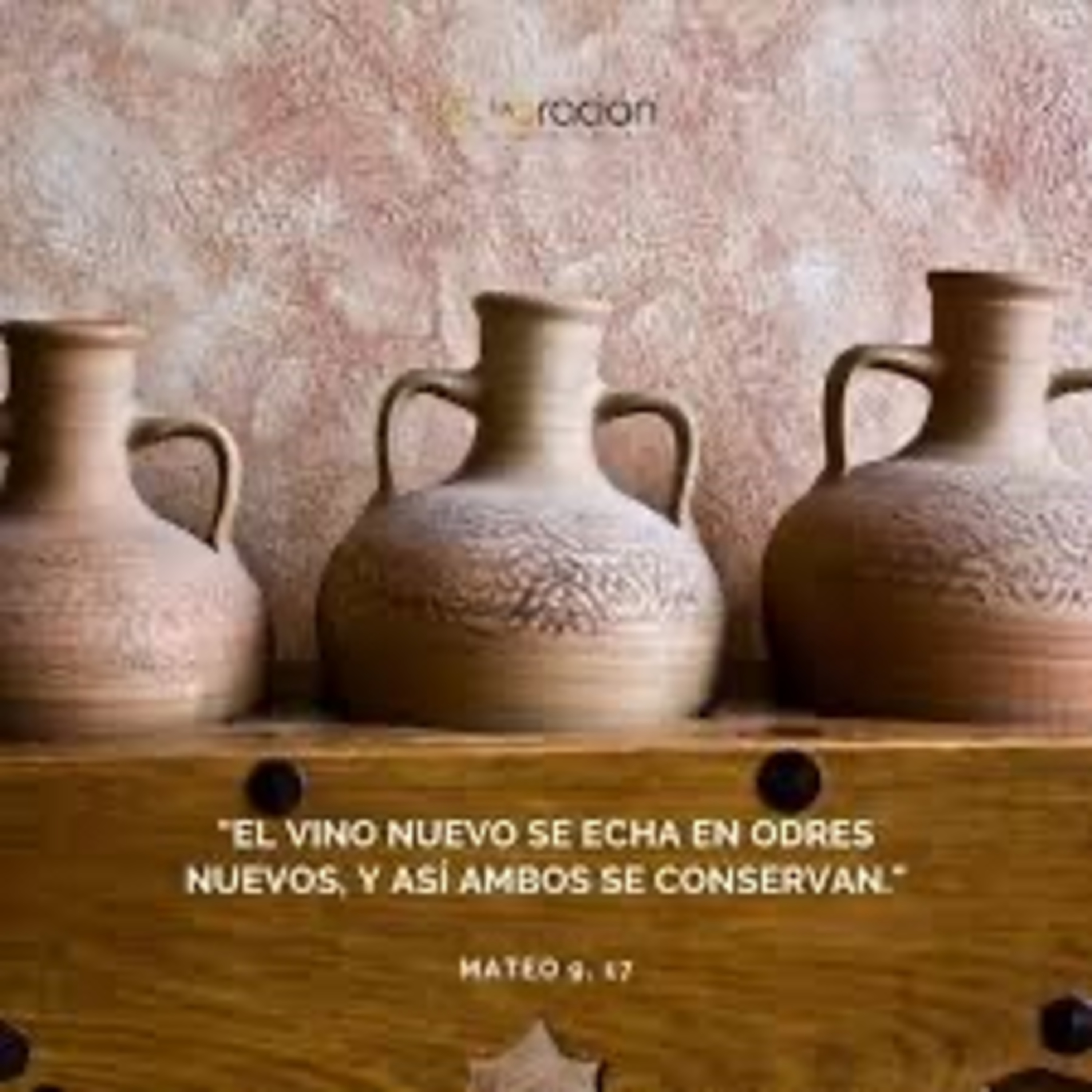 Evangelio del Sábado 6 de Julio. Mateo 9,14-17.