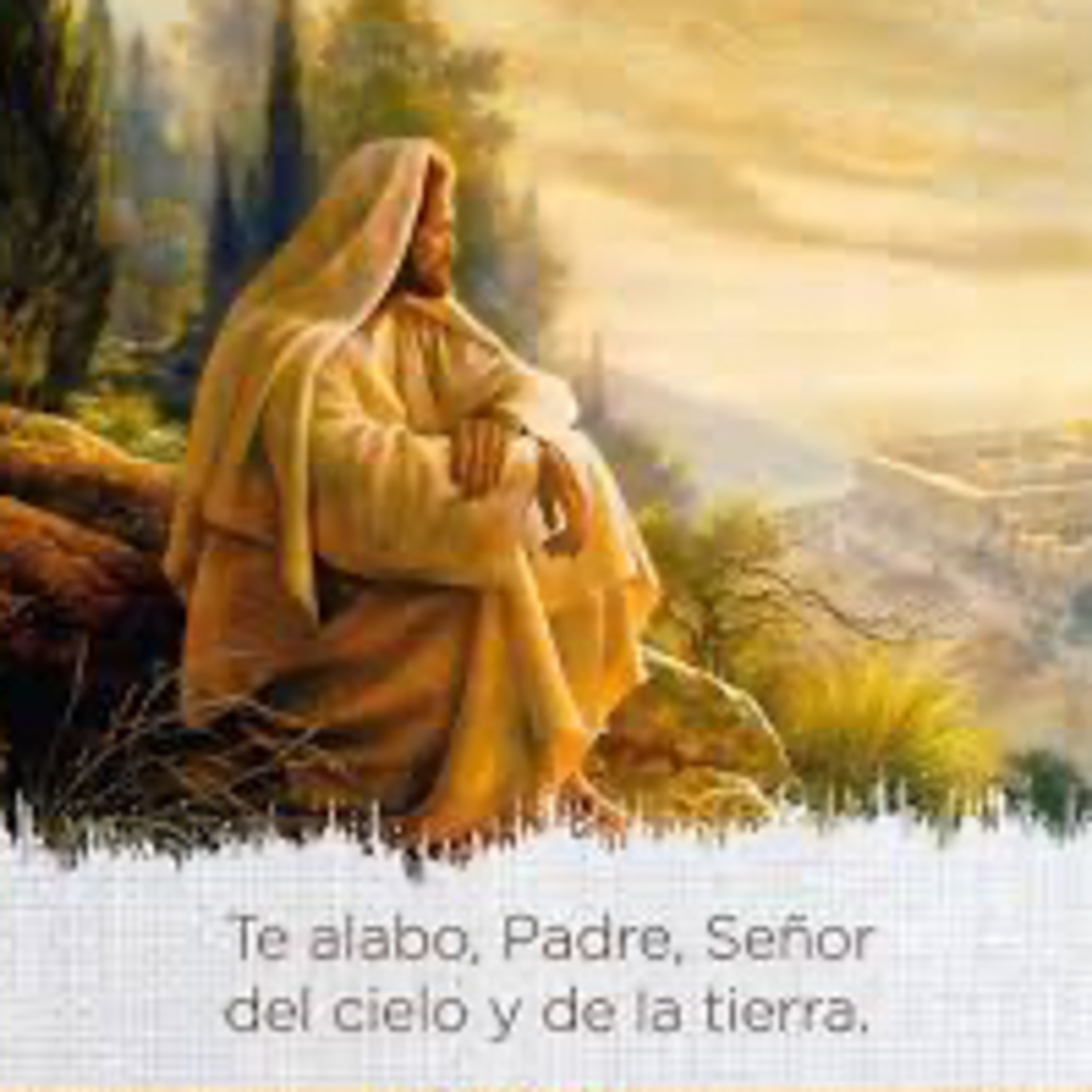 Evangelio del Miércoles 16 de Julio. Mateo 11,25-27