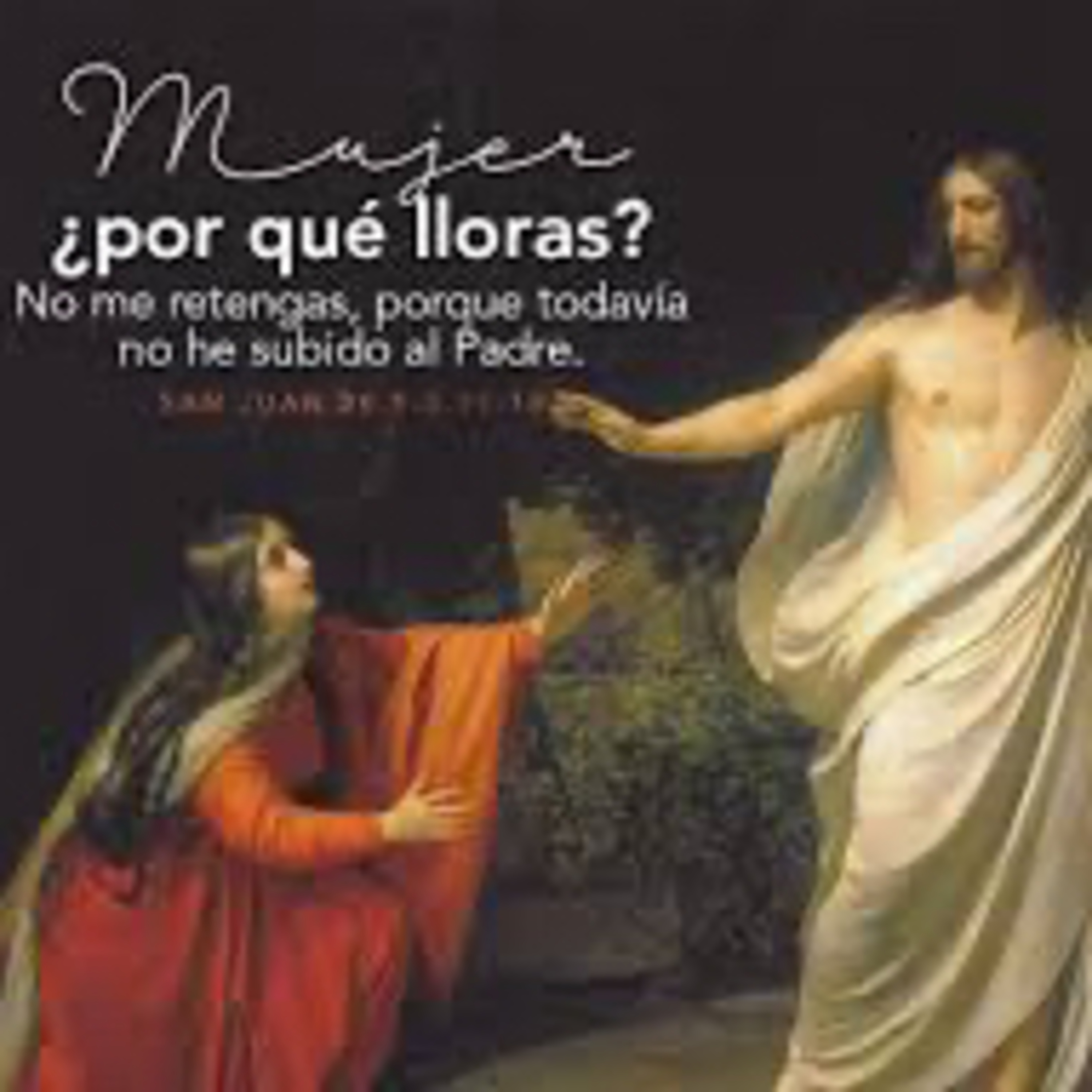 Lectura Diaria del Santo Evangelio y su Meditación