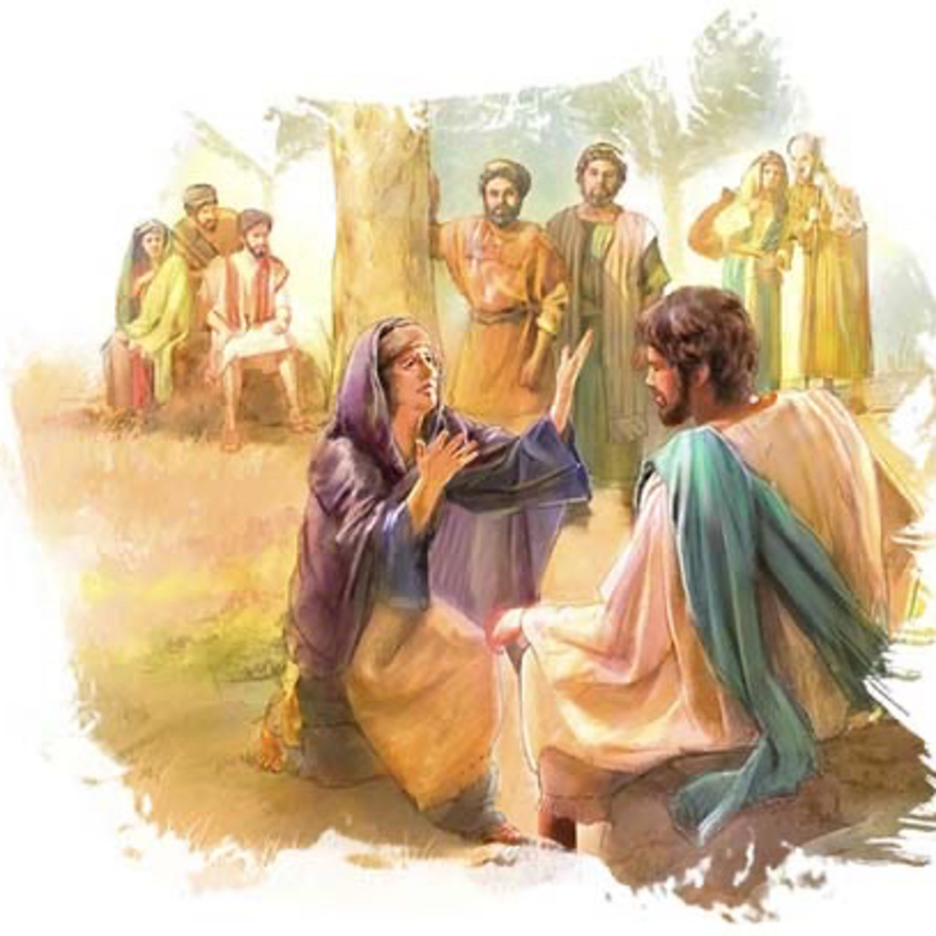 Evangelio del Viernes 25 de Julio. Apóstol Santiago. Mateo 20,20-28