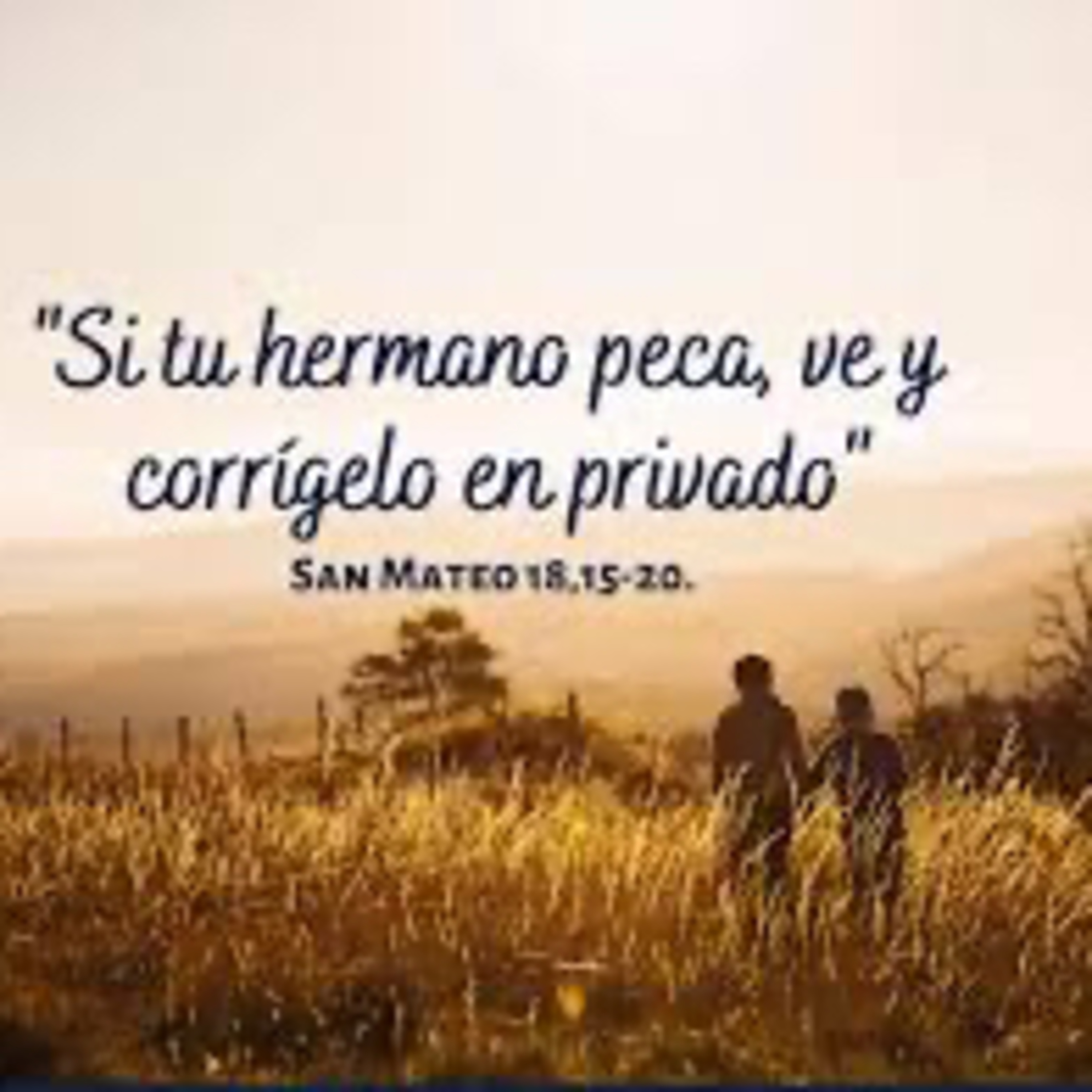 Evangelio del Miércoles 13 de Agosto. Mateo 18,15-20