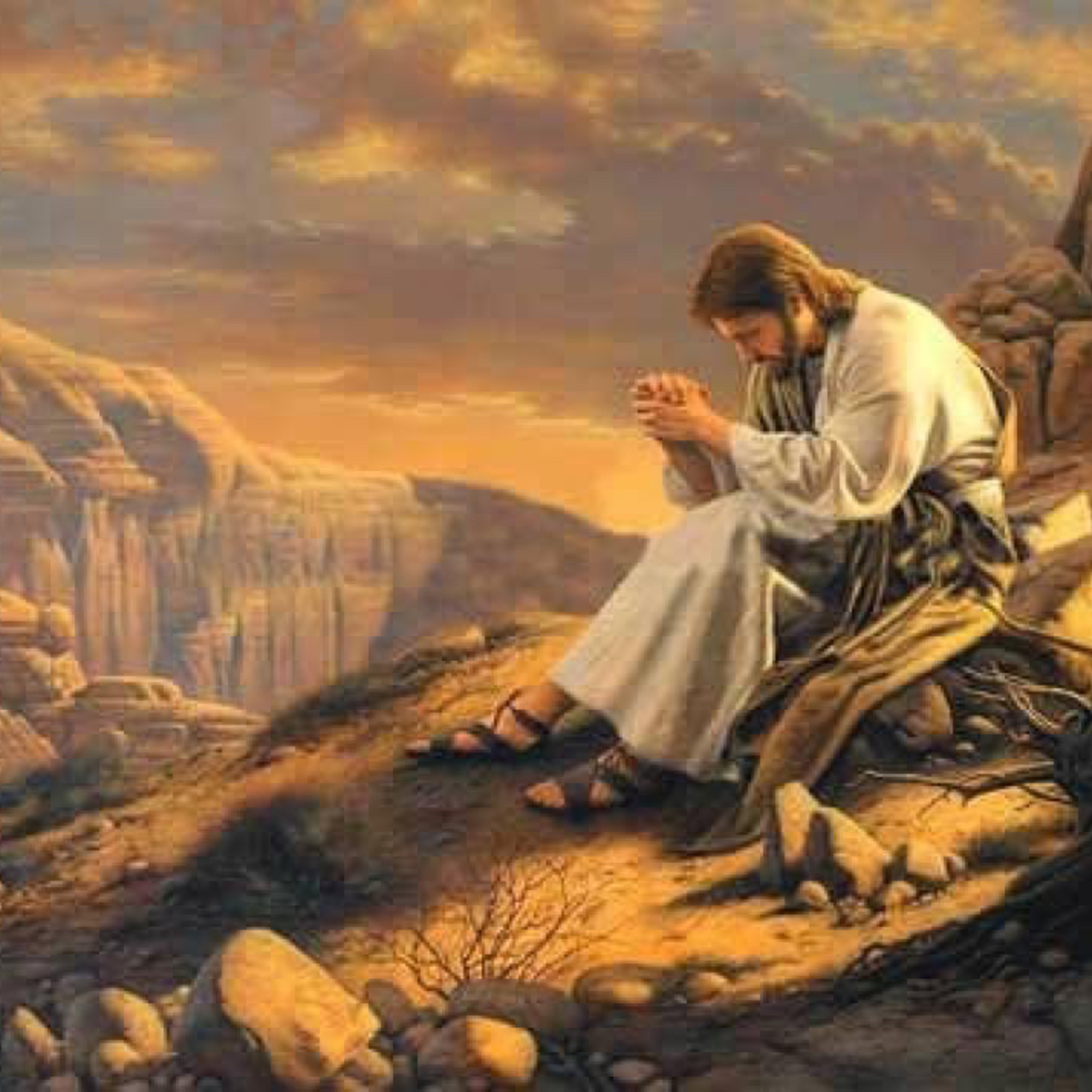 Evangelio del Martes 9 de Septiembre. Lucas 6,12-19.