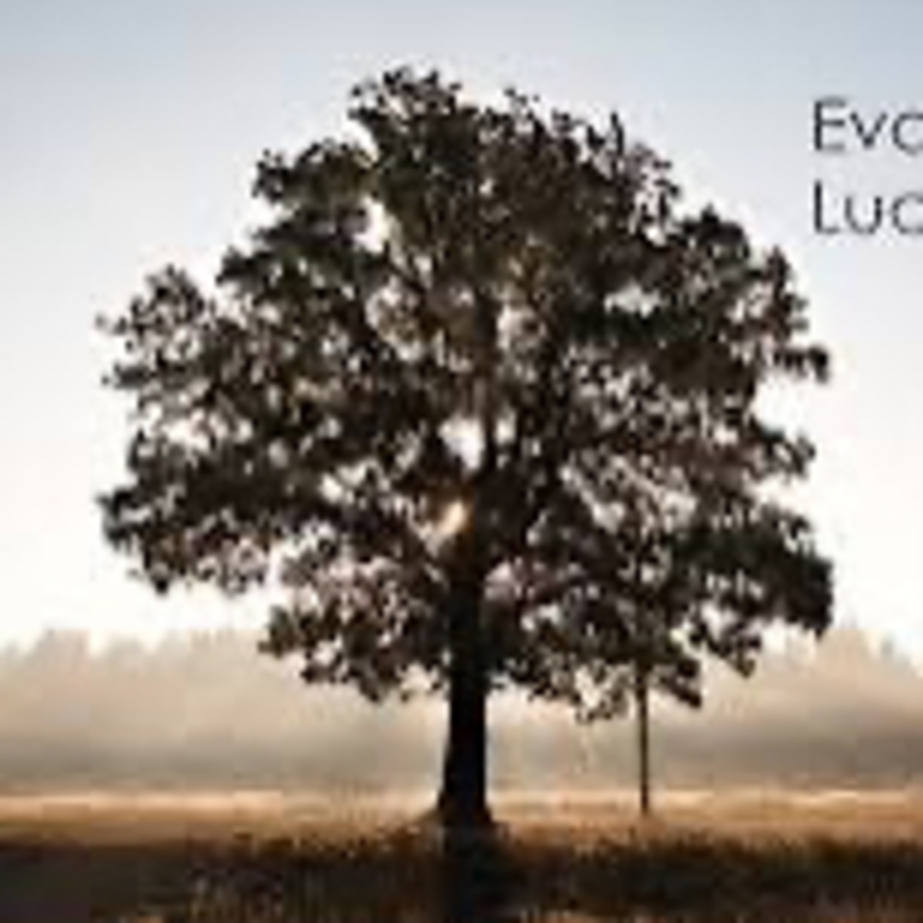Evangelio del Sábado 13 de Septiembre. Lucas 6,43-49