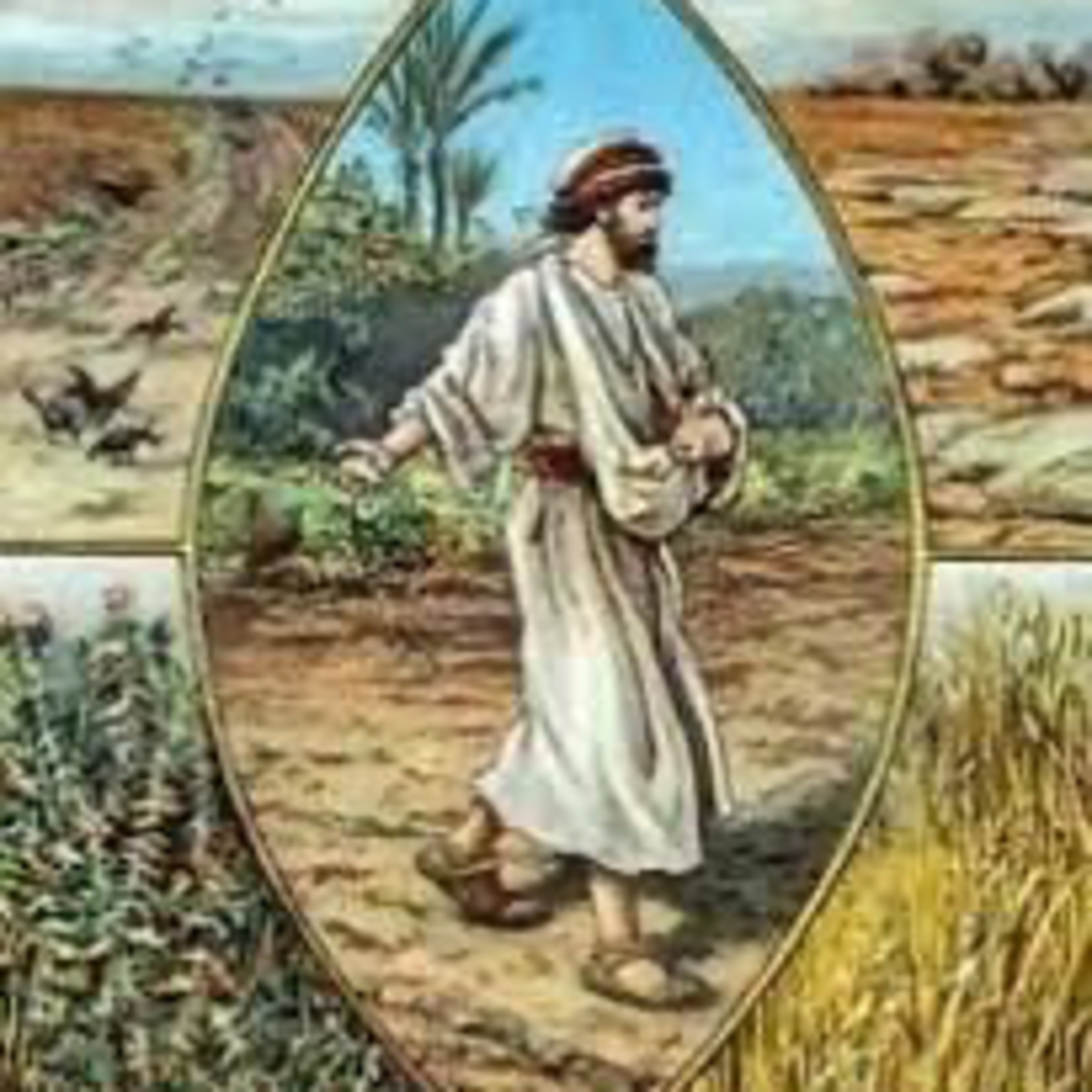 Evangelio del Sábado 20 de Septiembre. Lucas 8,4-15