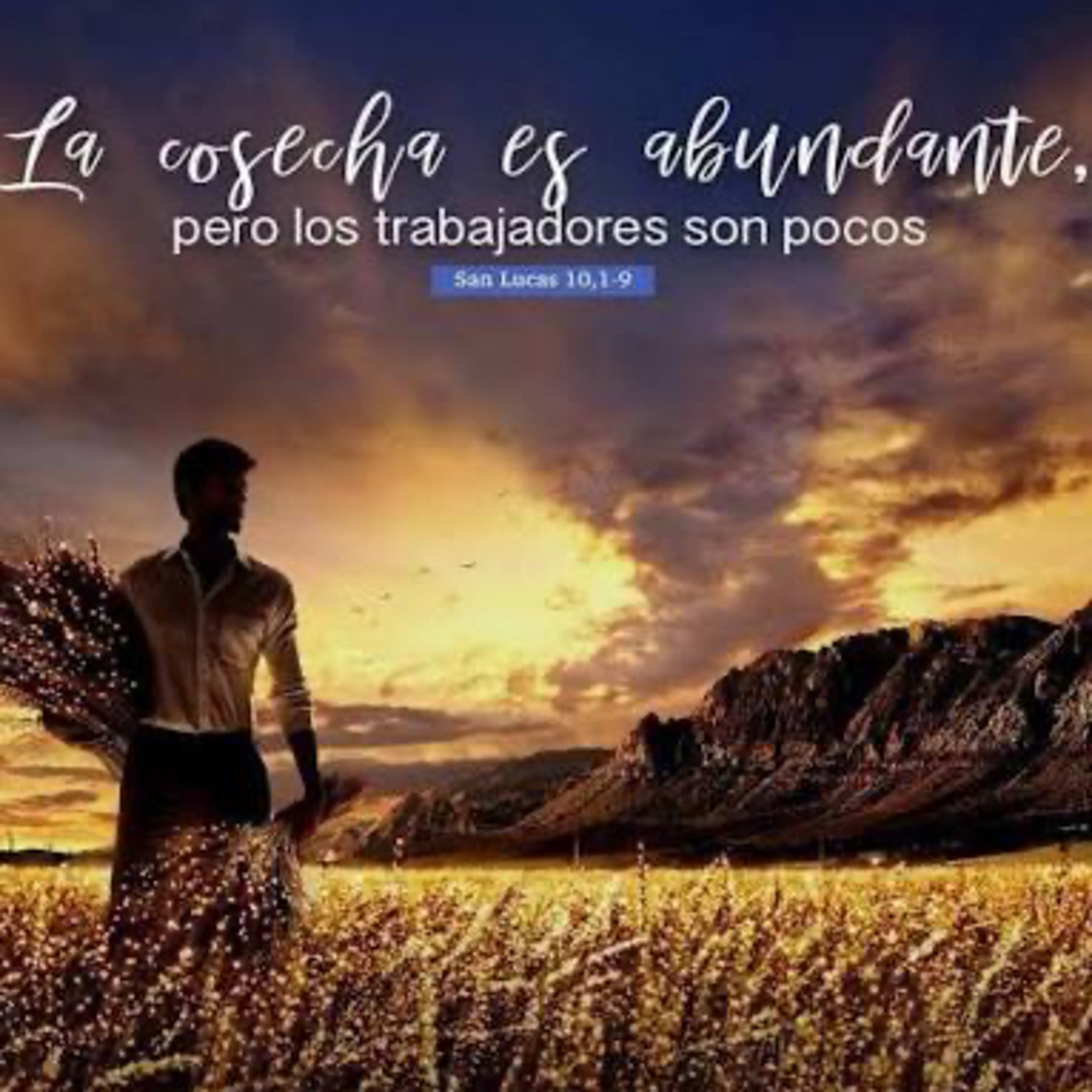 Evangelio del Sábado 18 de Octubre. San Lucas evangelista. Lucas 10,1-9