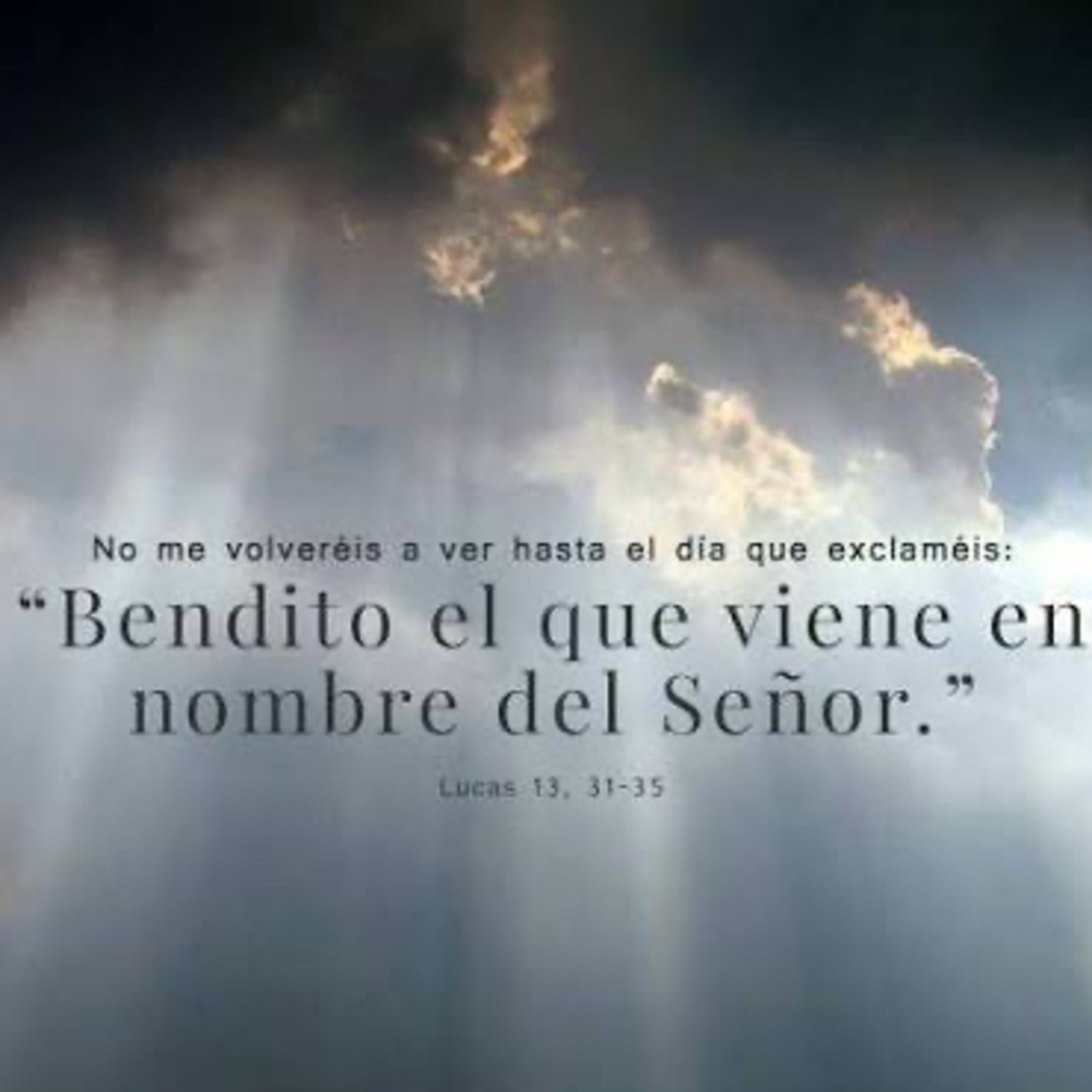 Evangelio del Jueves 30 de Octubre. Lucas 13,31-35.