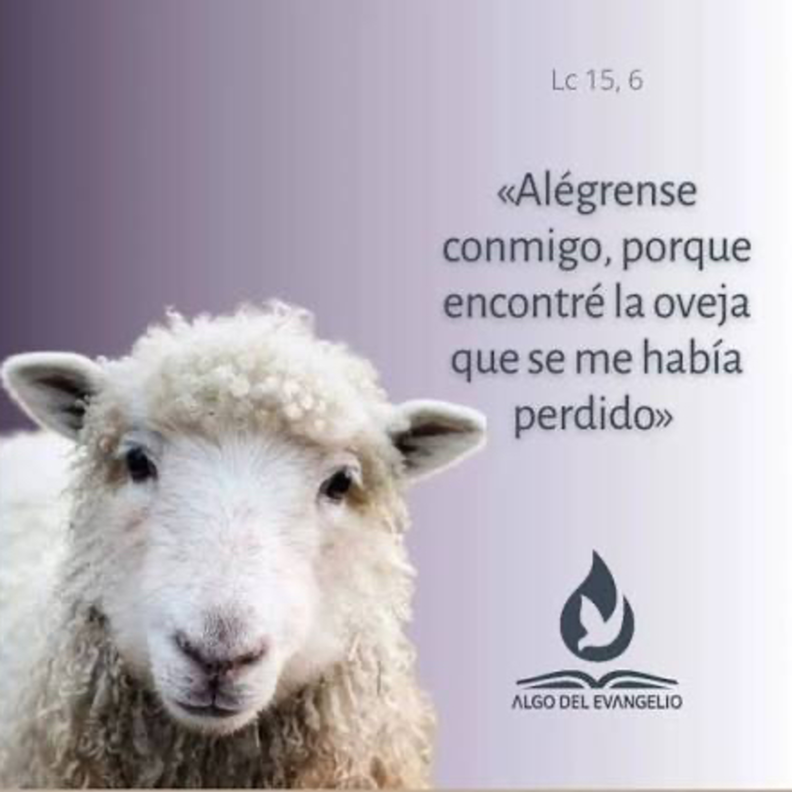 Evangelio del Jueves 6 de Noviembre. Lucas 15,1-10