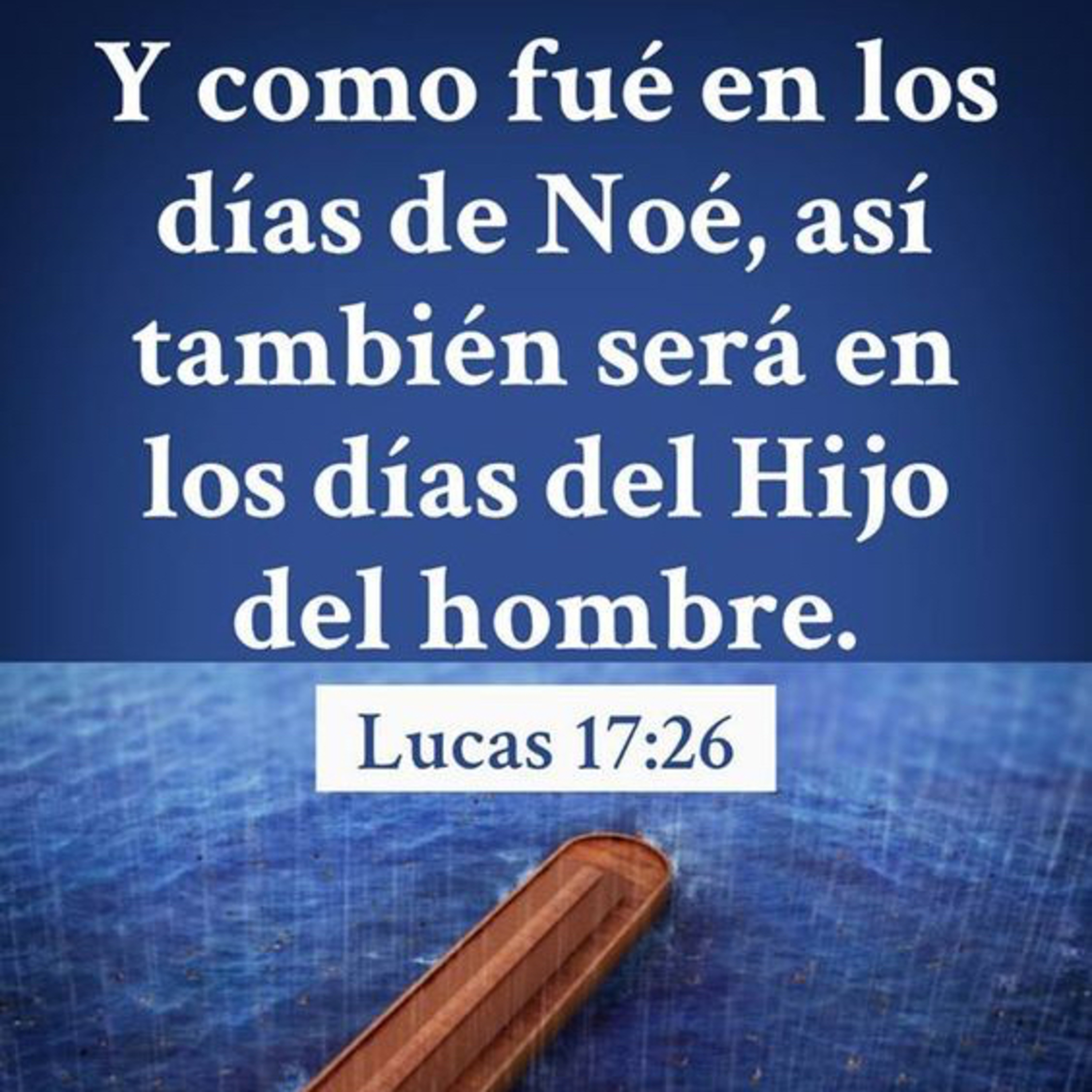 Evangelio del Viernes 14 de Noviembre. Lucas 17,26-37