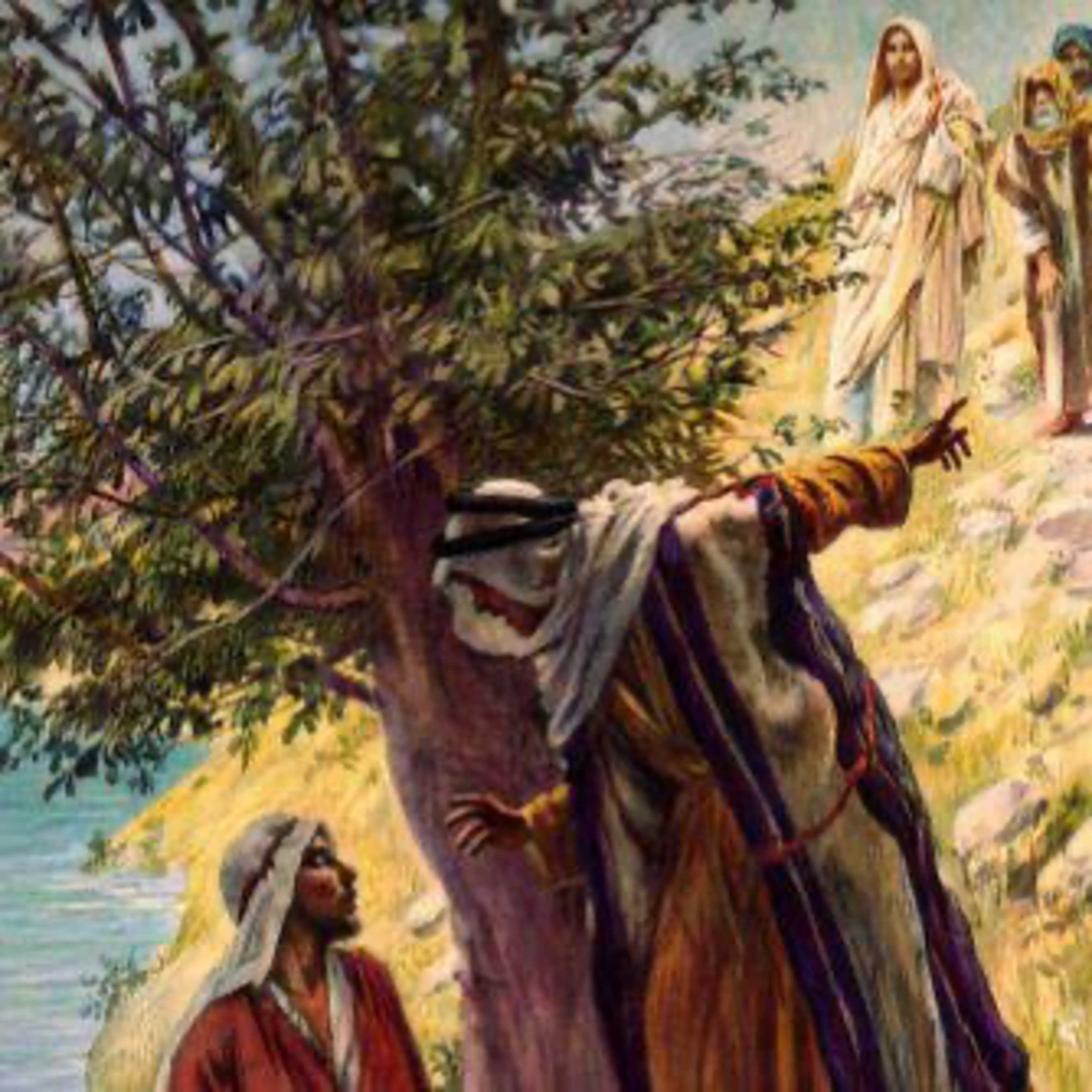 Evangelio del Lunes 5 de Enero. Juan 1,43-51