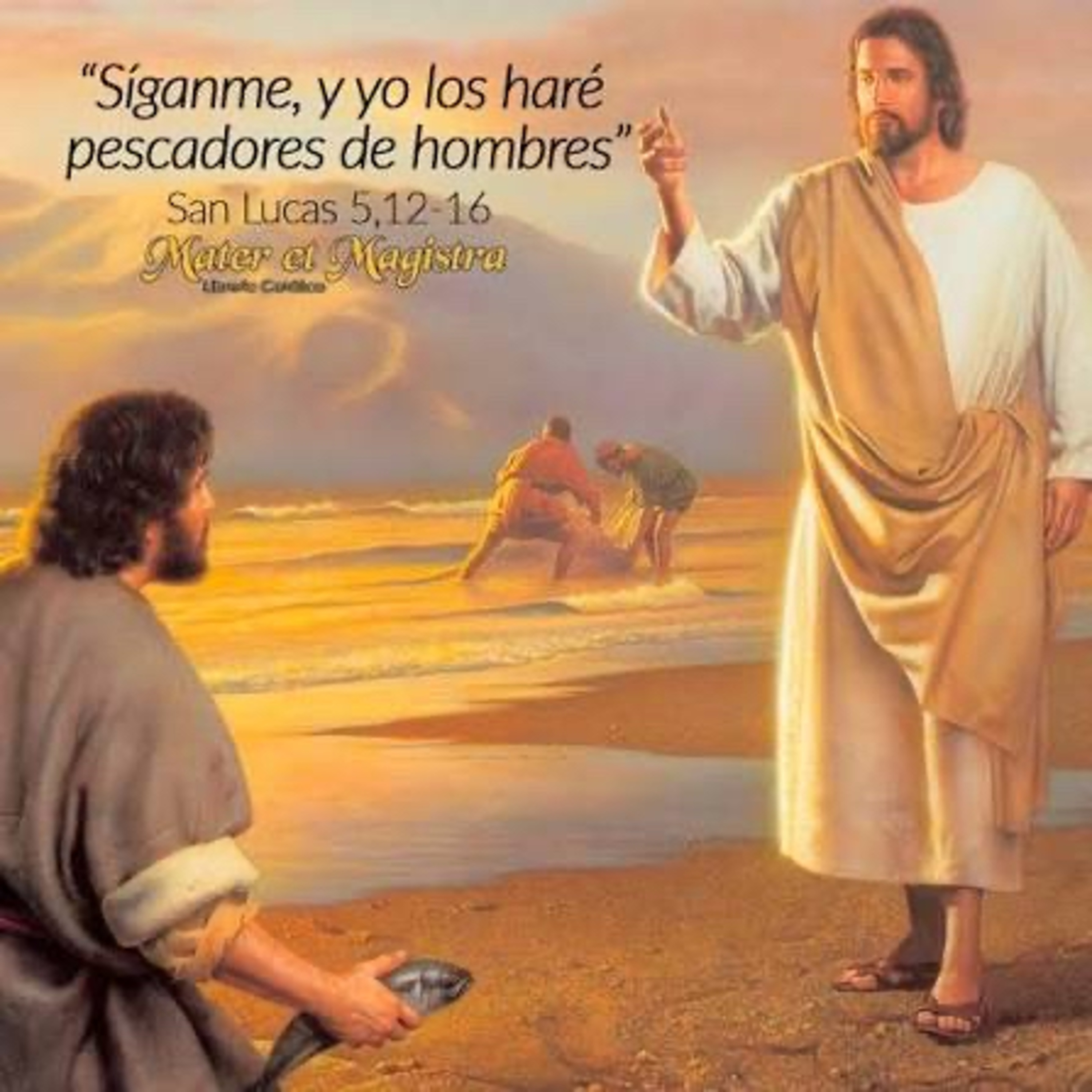 Evangelio del Lunes 12 de Enero. Marcos 1,14-20