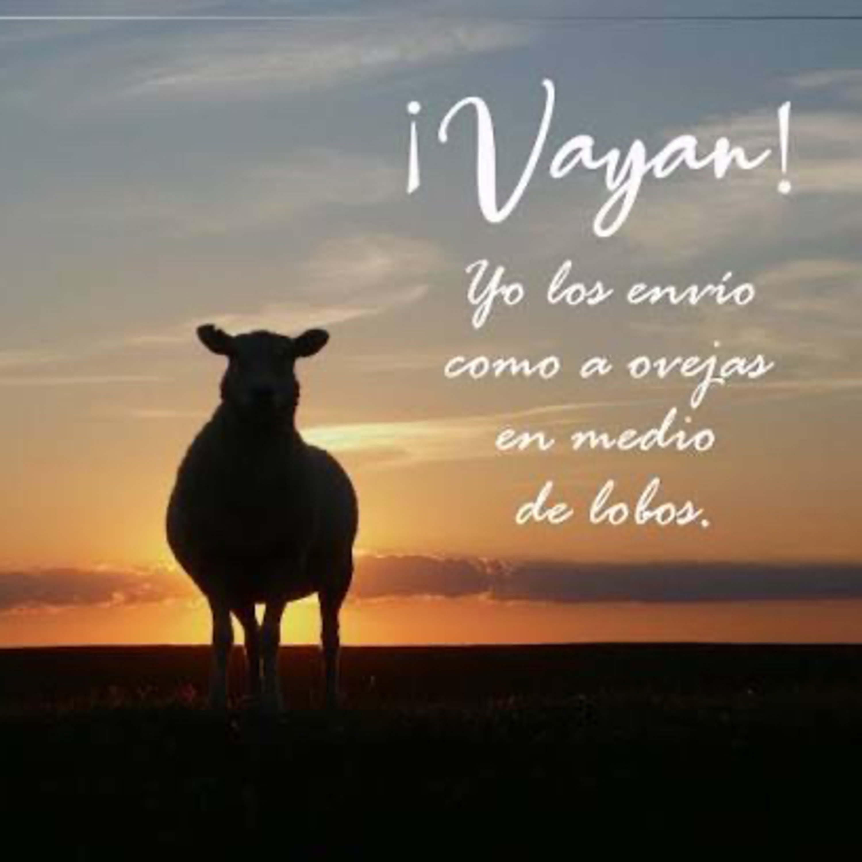 Evangelio del Lunes 26 de Enero. Santos Timoteo y Tito. Lucas 10, 1-9.