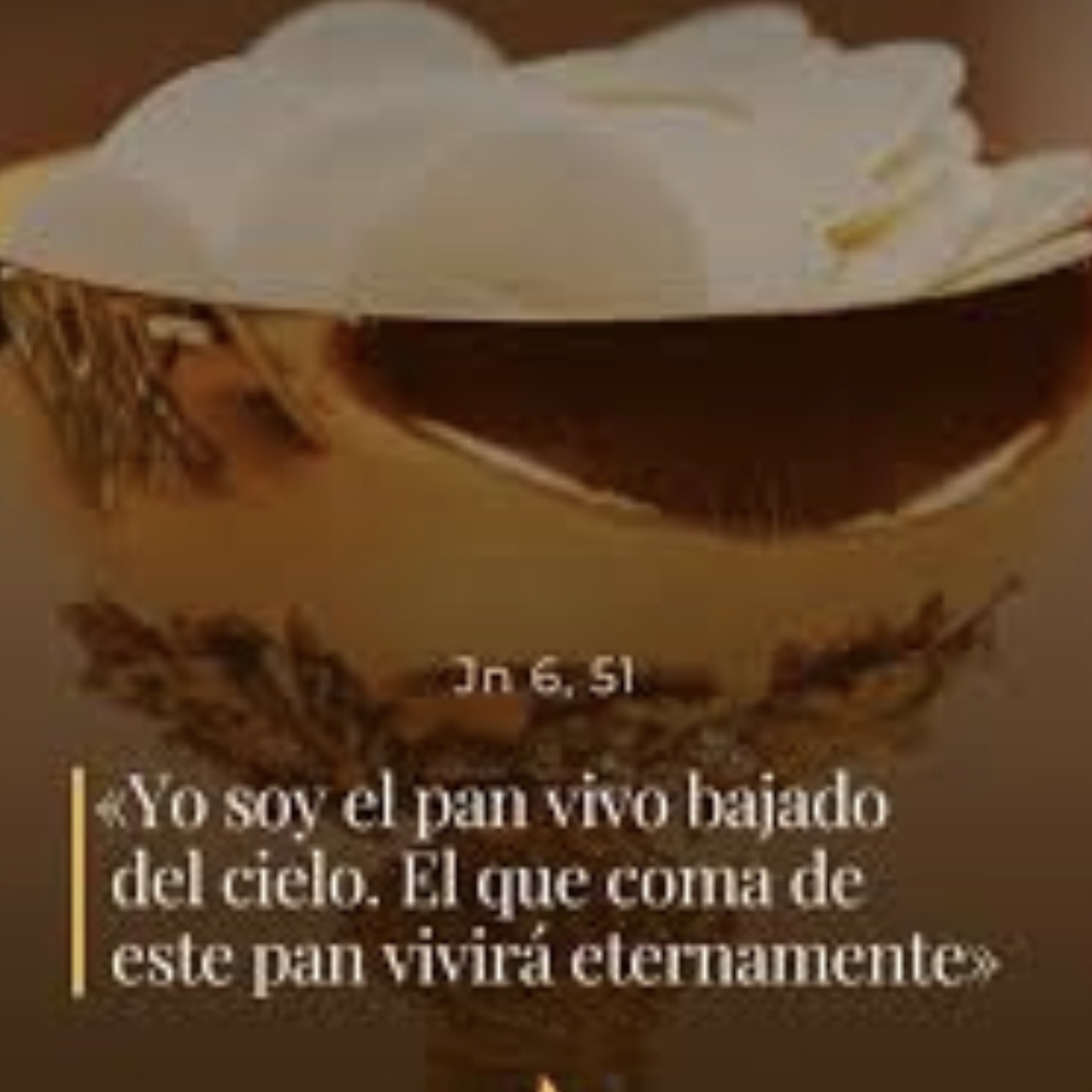 Evangelio del Jueves 23 de Abril. Juan 6,44-51