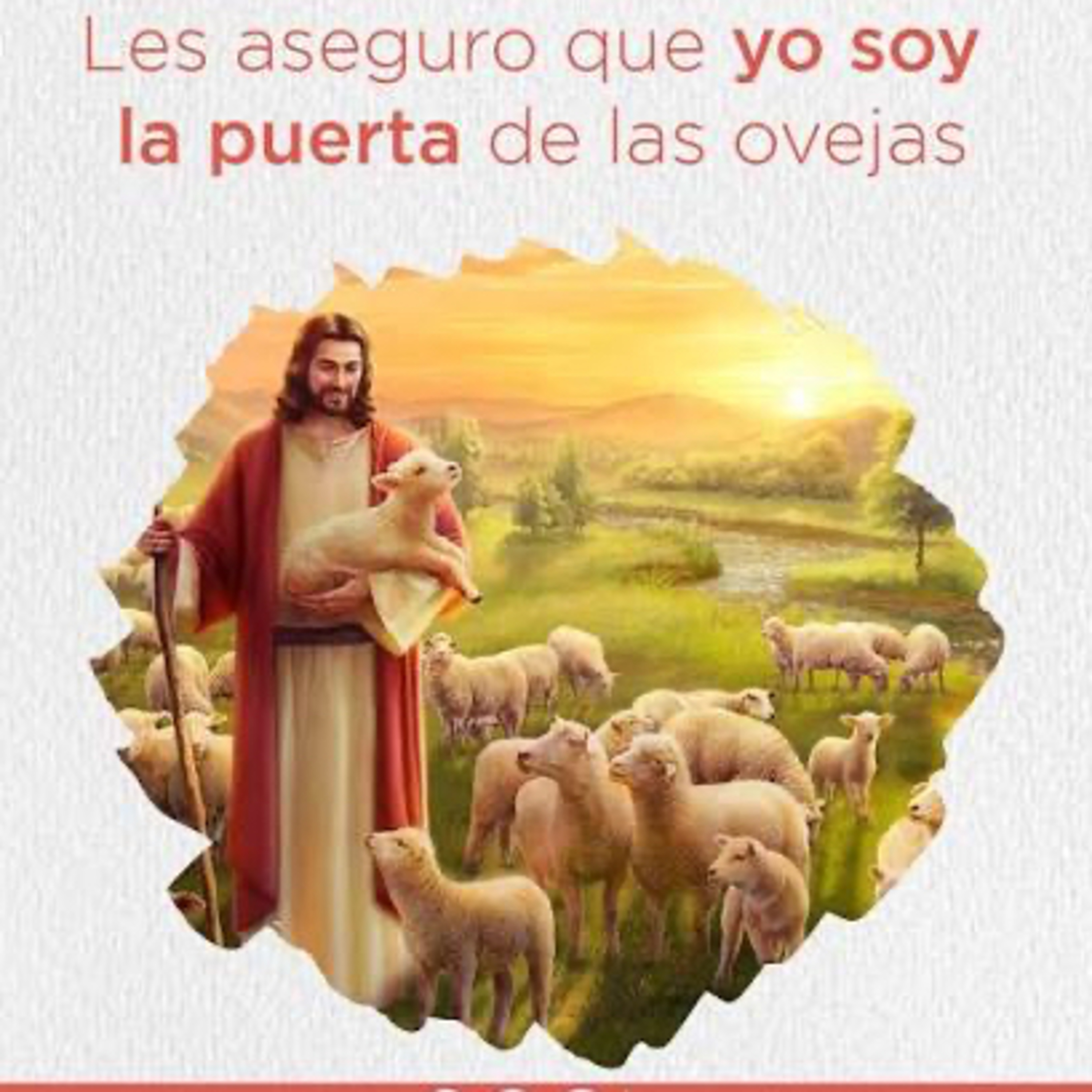 Evangelio del Domingo 26 de Abril. Juan 10,1-10.