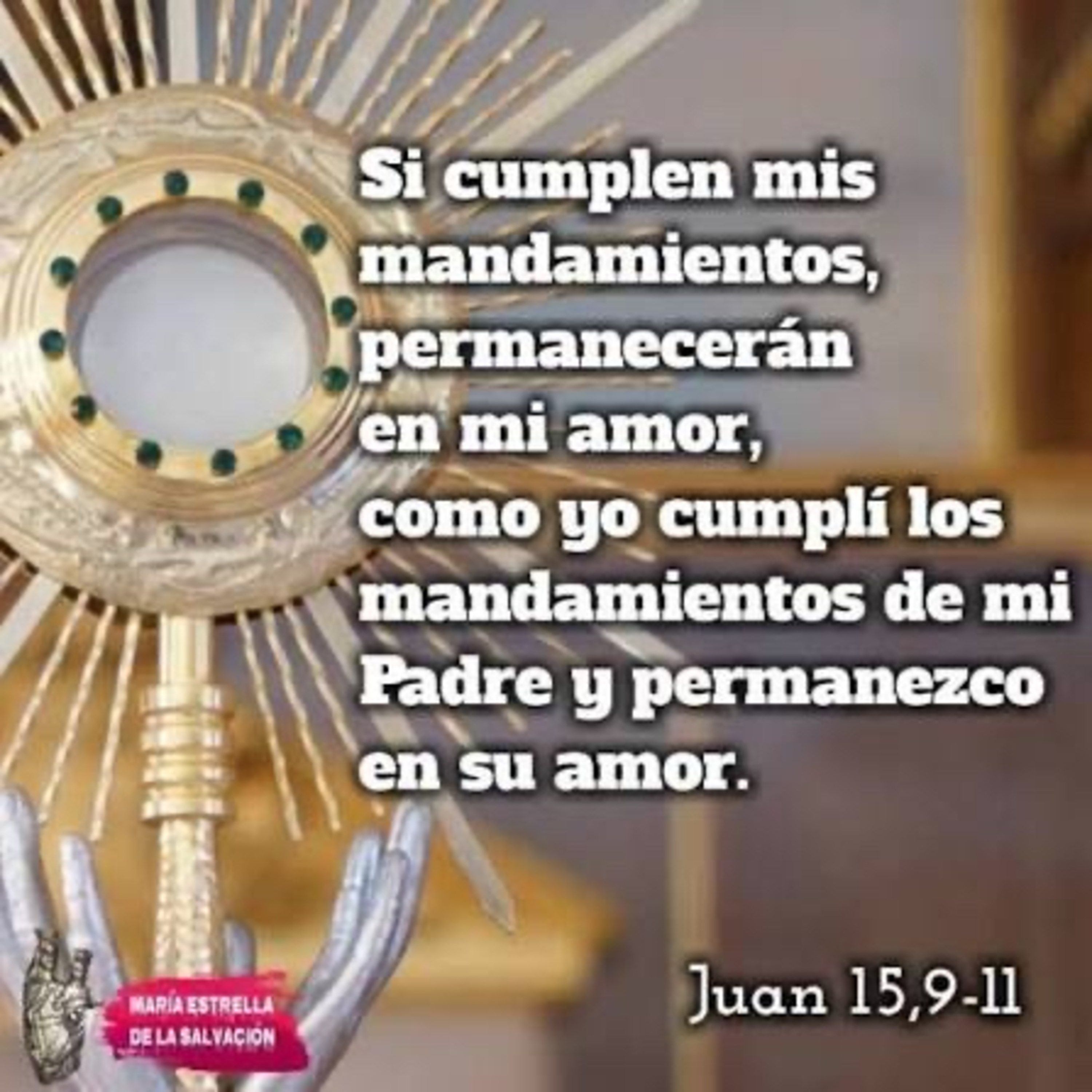 Evangelio del Jueves 7 de Mayo. Juan 15,9-11.