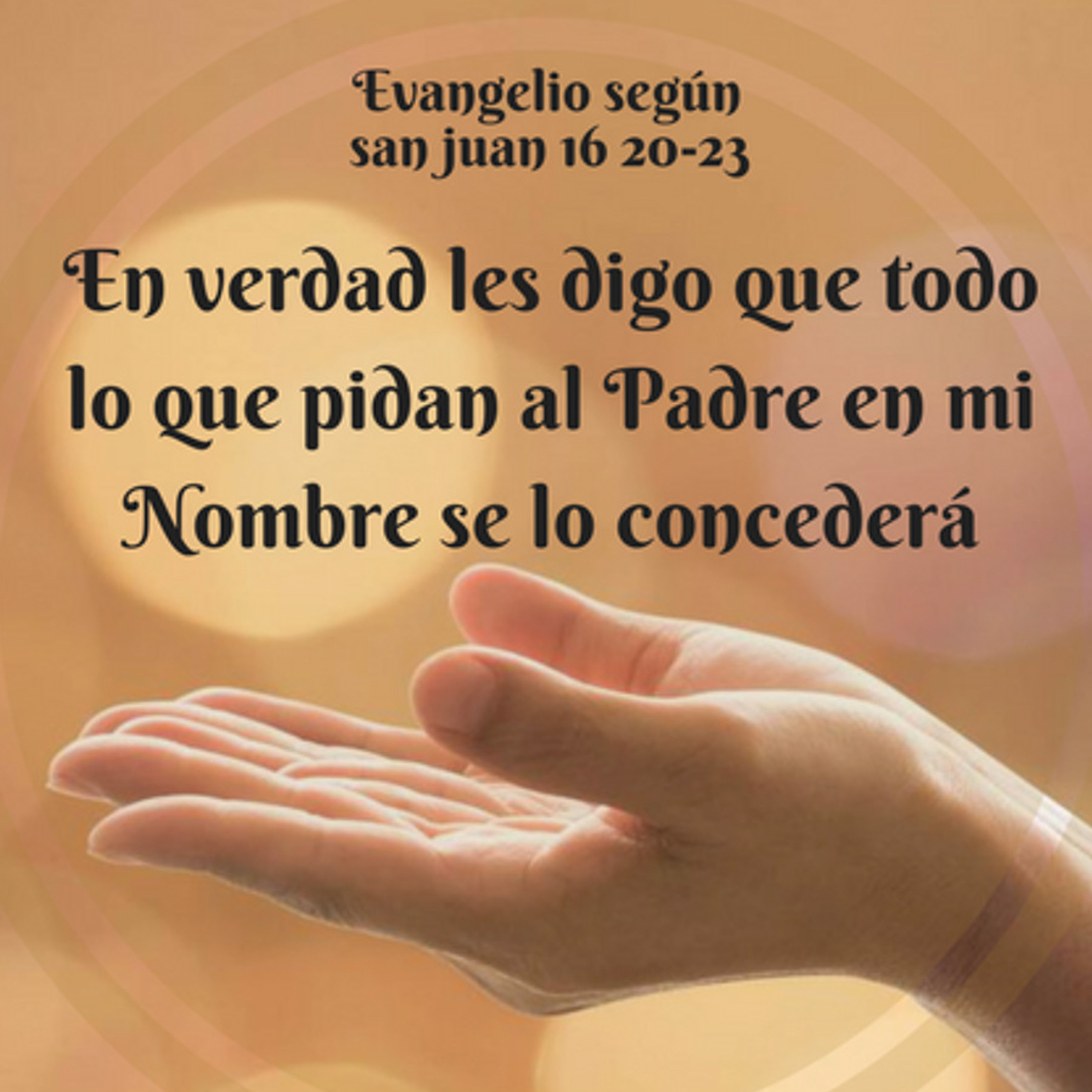 Evangelio del Sábado 16 de Mayo. Juan 16,23b-28.