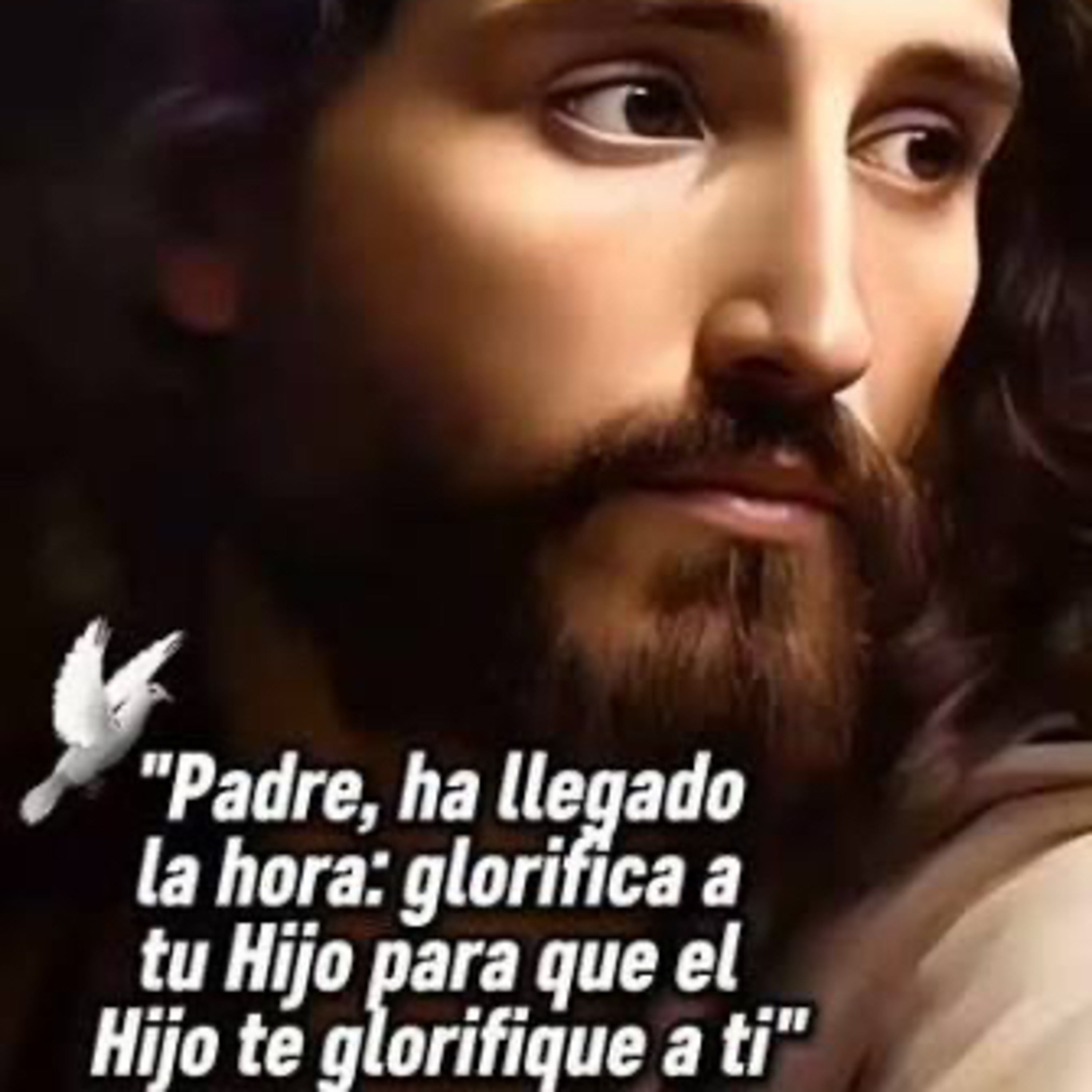 Evangelio del Martes 19 de Mayo. Juan 17,1-11a