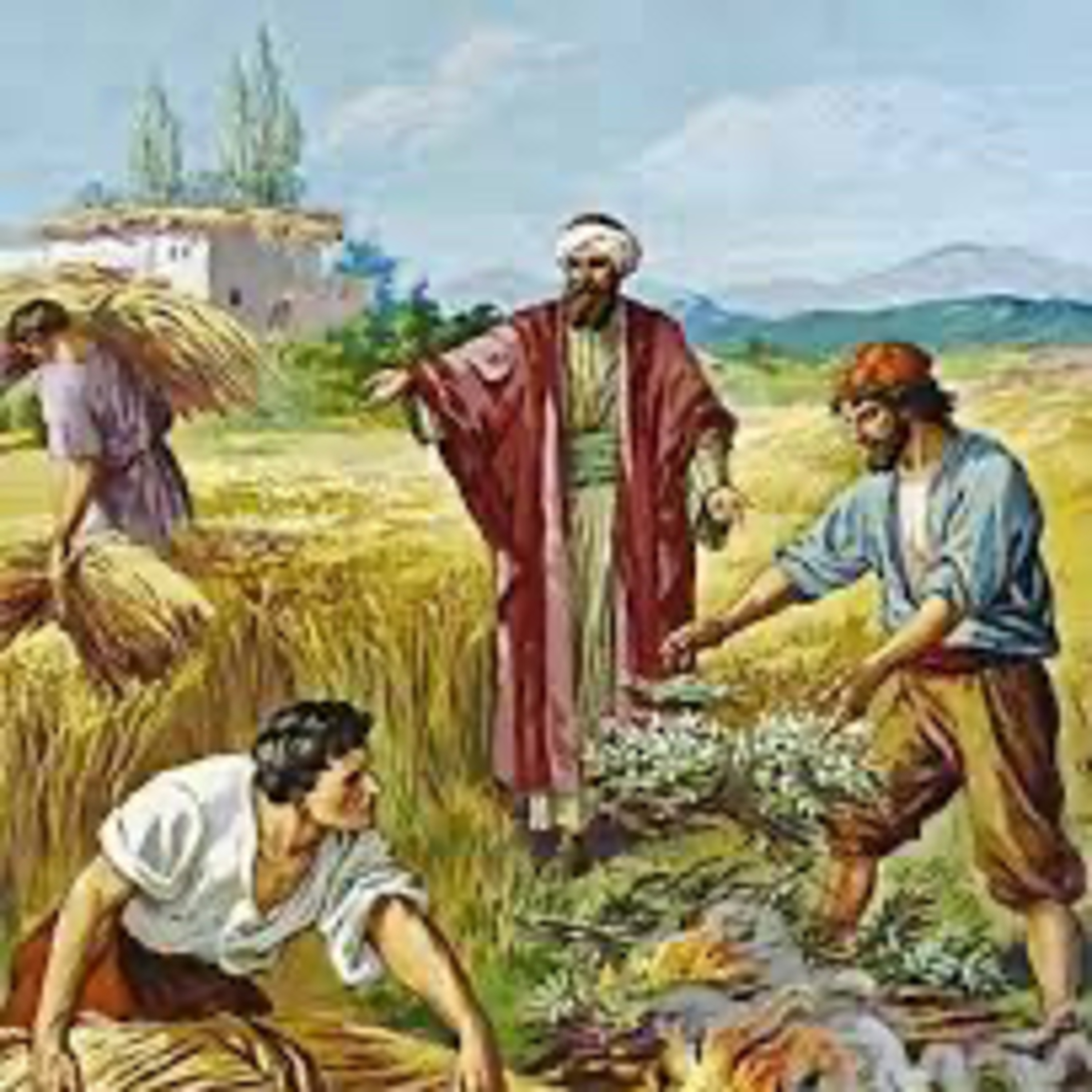 Evangelio del Domingo 19 de Julio. Mateo 13,24-43. episode artwork