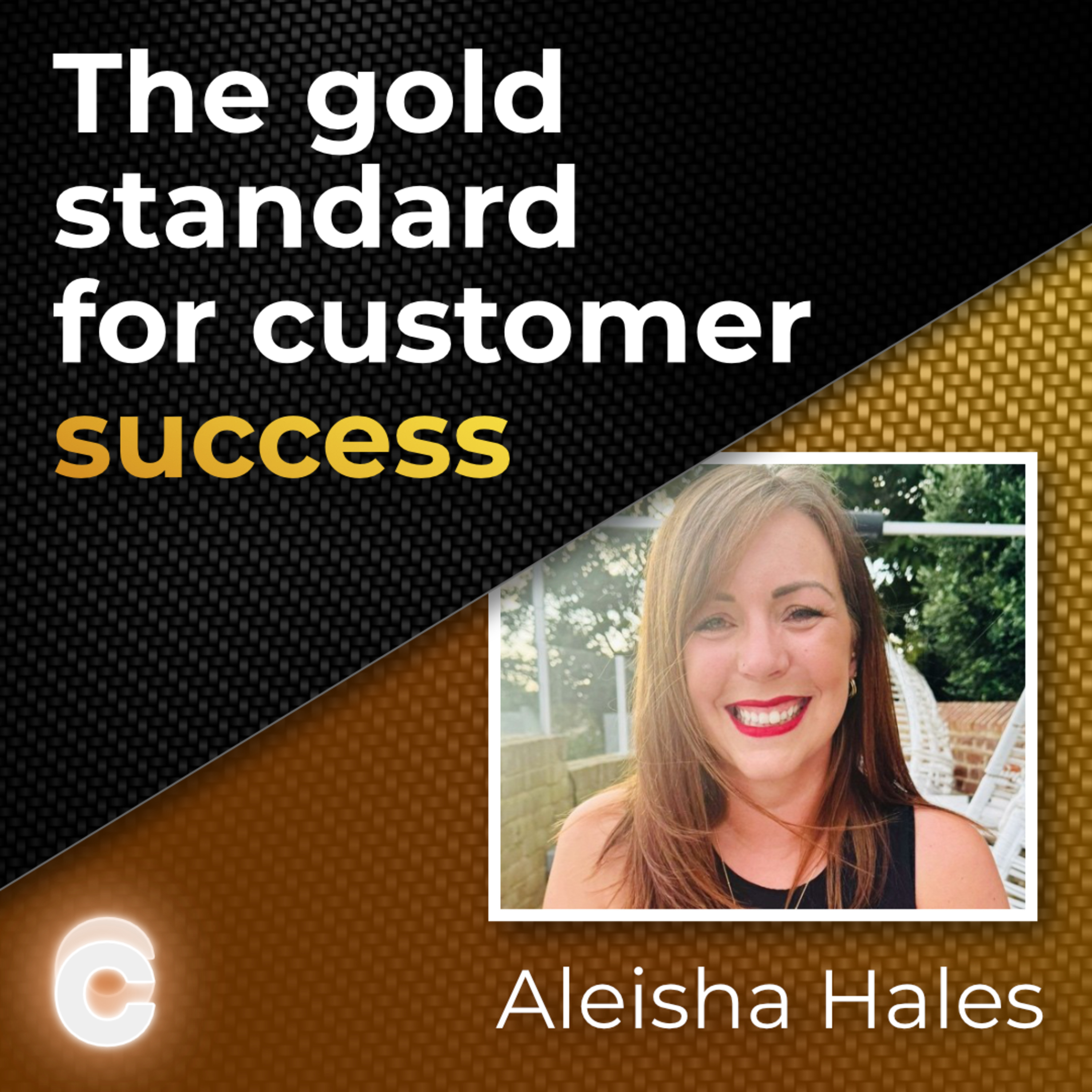 THE Standard for SaaS Customer Success - Aleisha Hales episode artwork