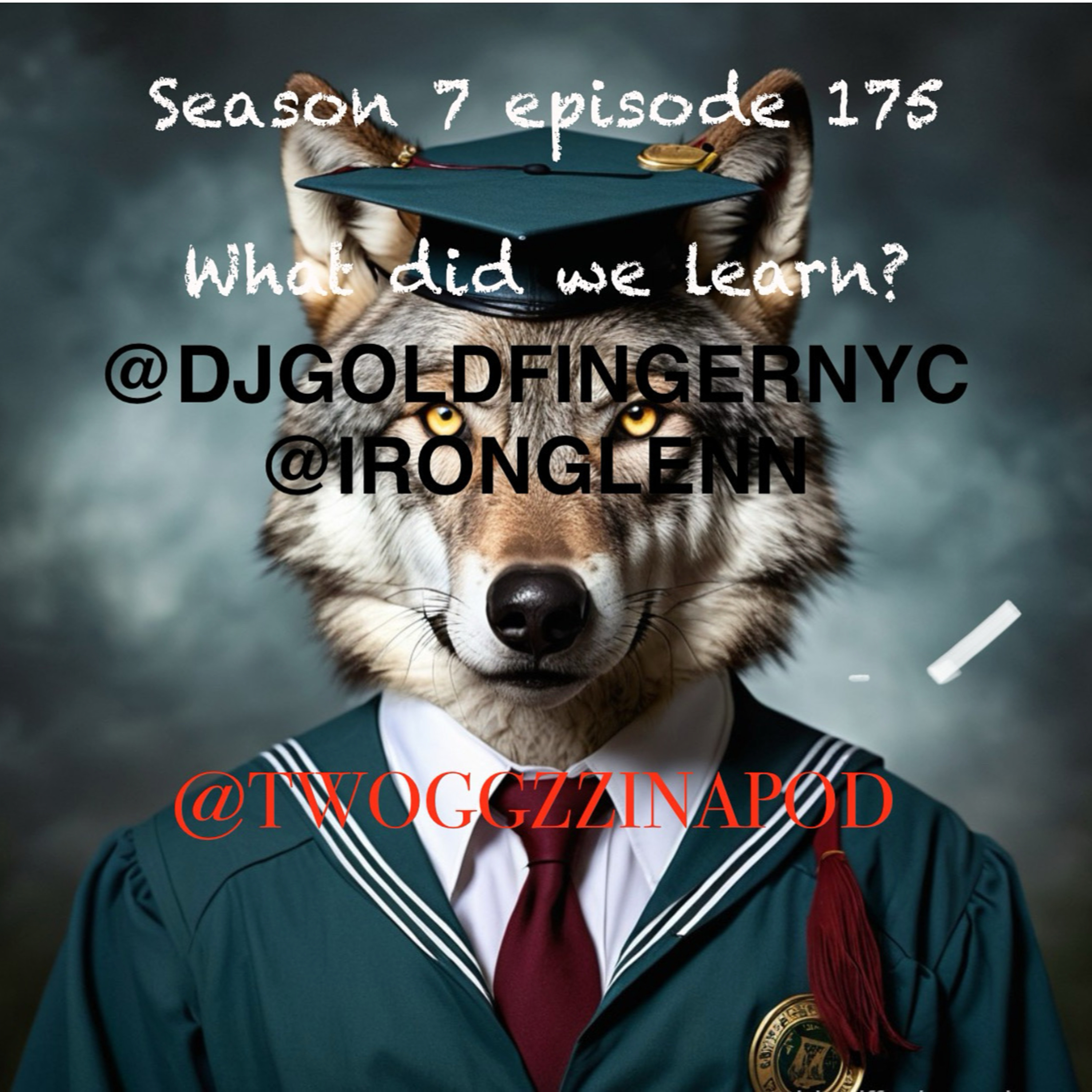 WHAT DID WE LEARN? episode artwork