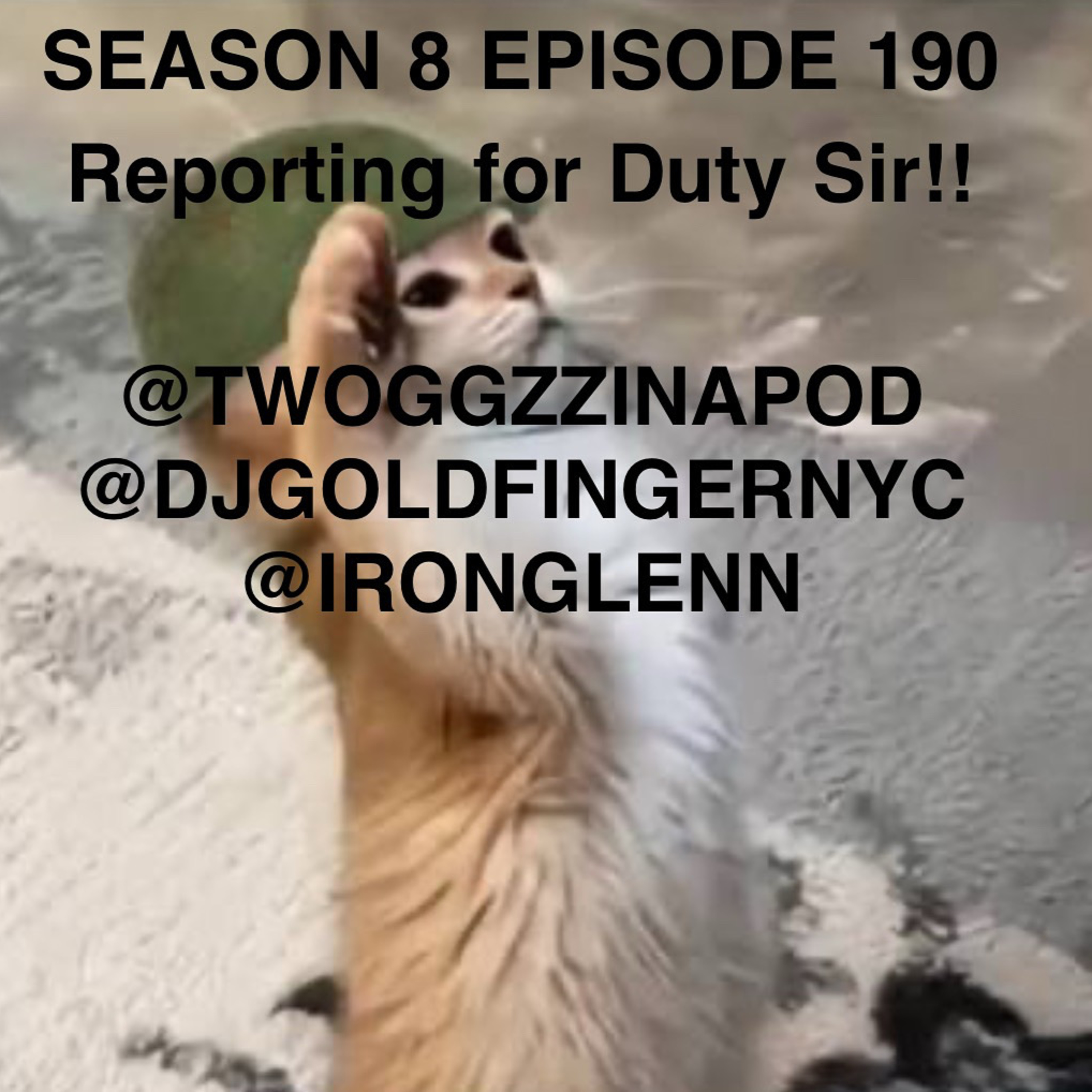REPORTING FOR DUTY SIR!! episode artwork