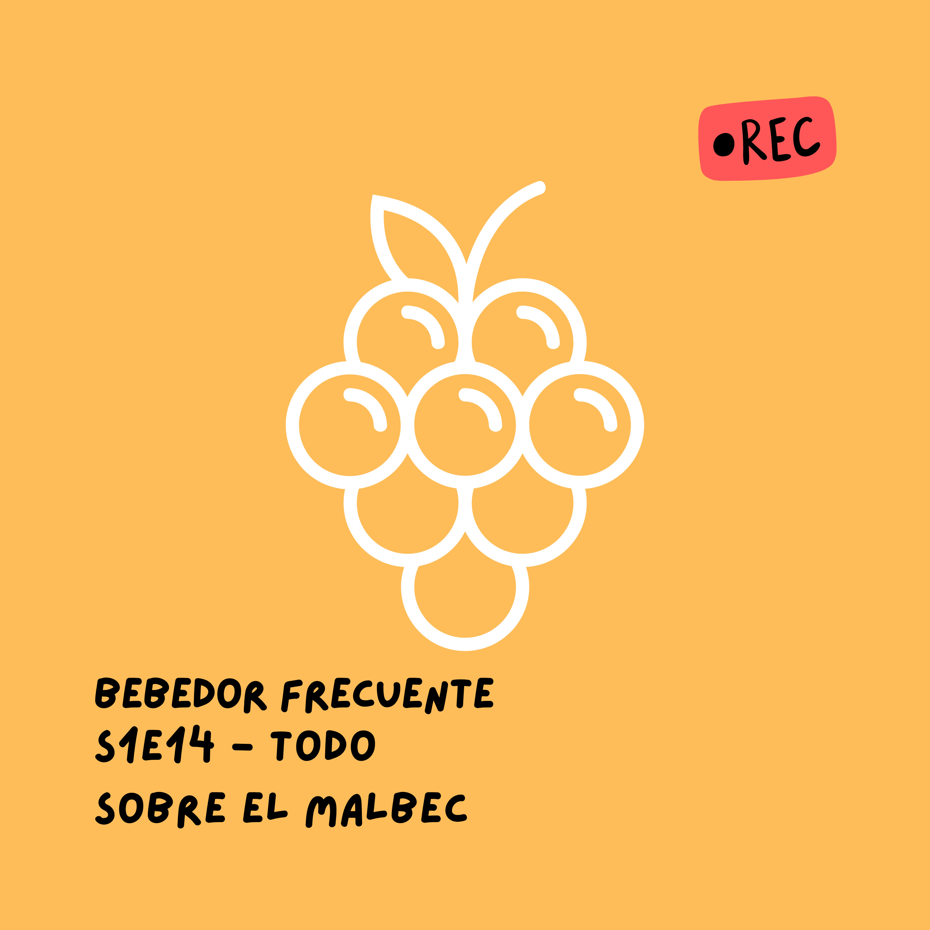 Bebedor Frecuente