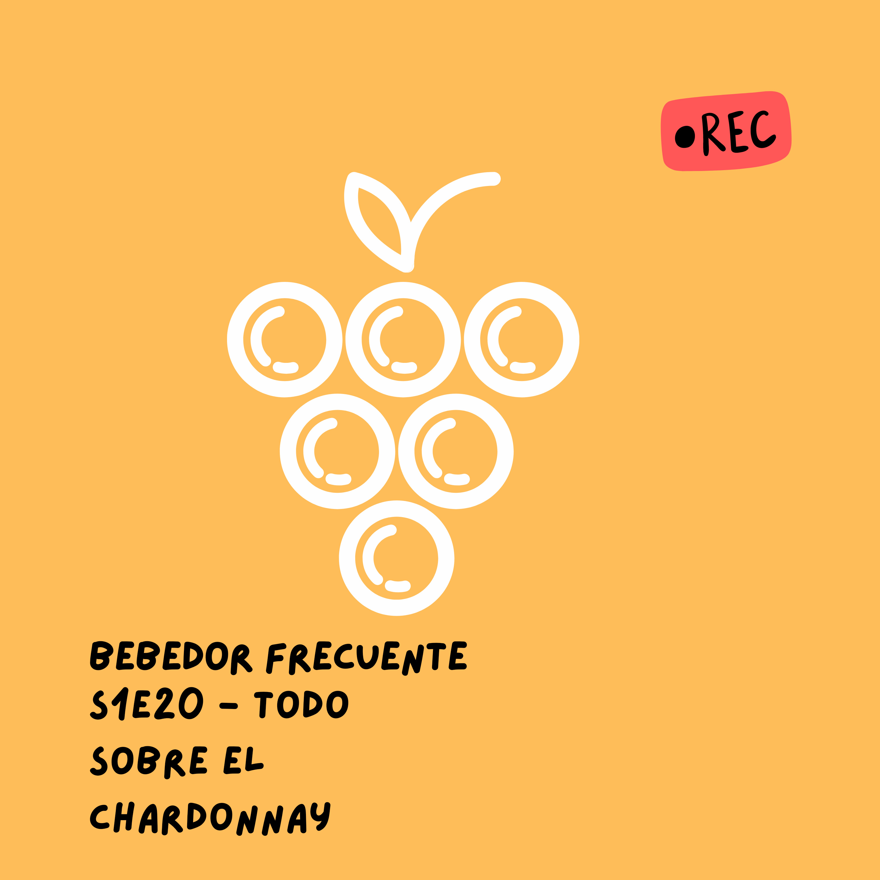 Bebedor Frecuente