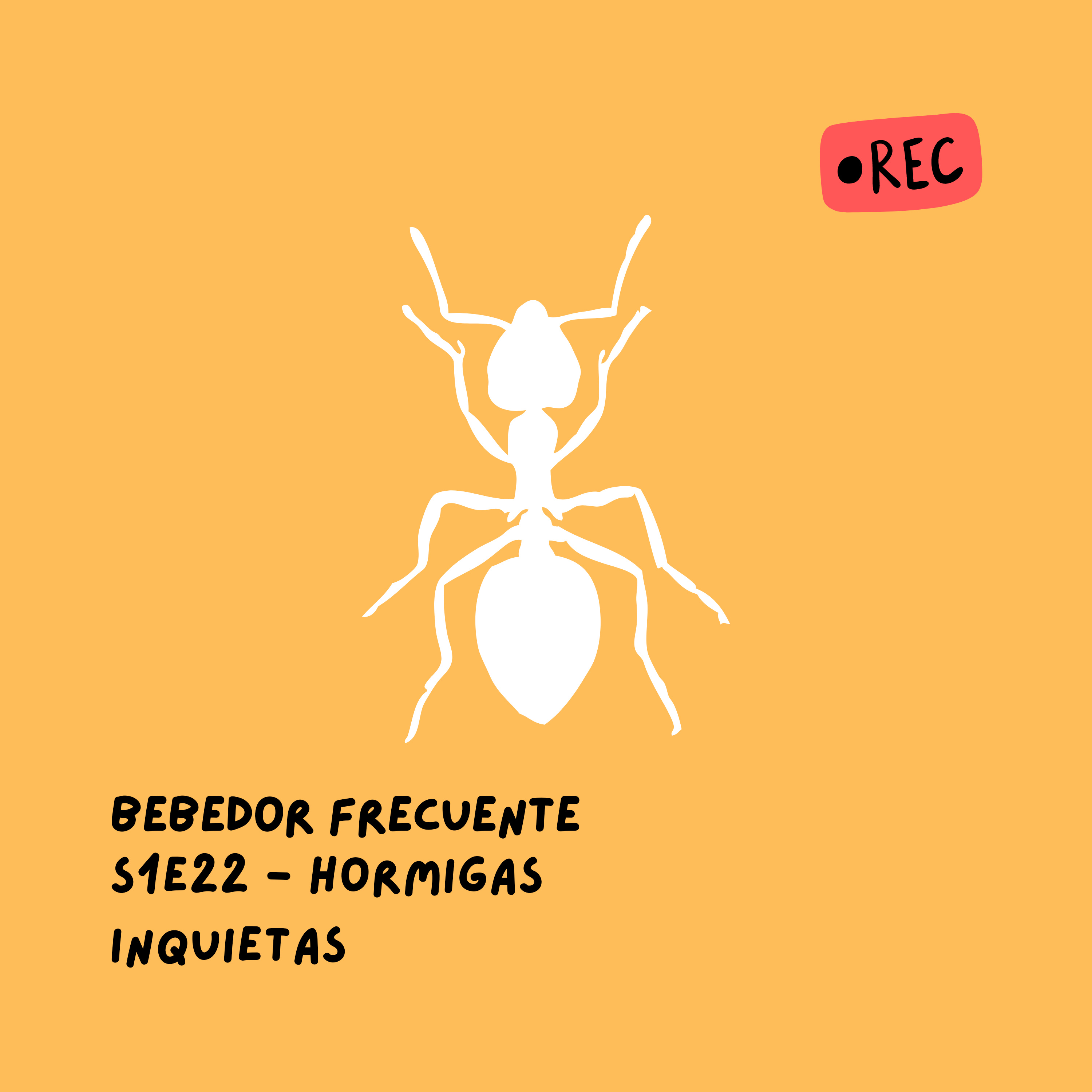 Bebedor Frecuente