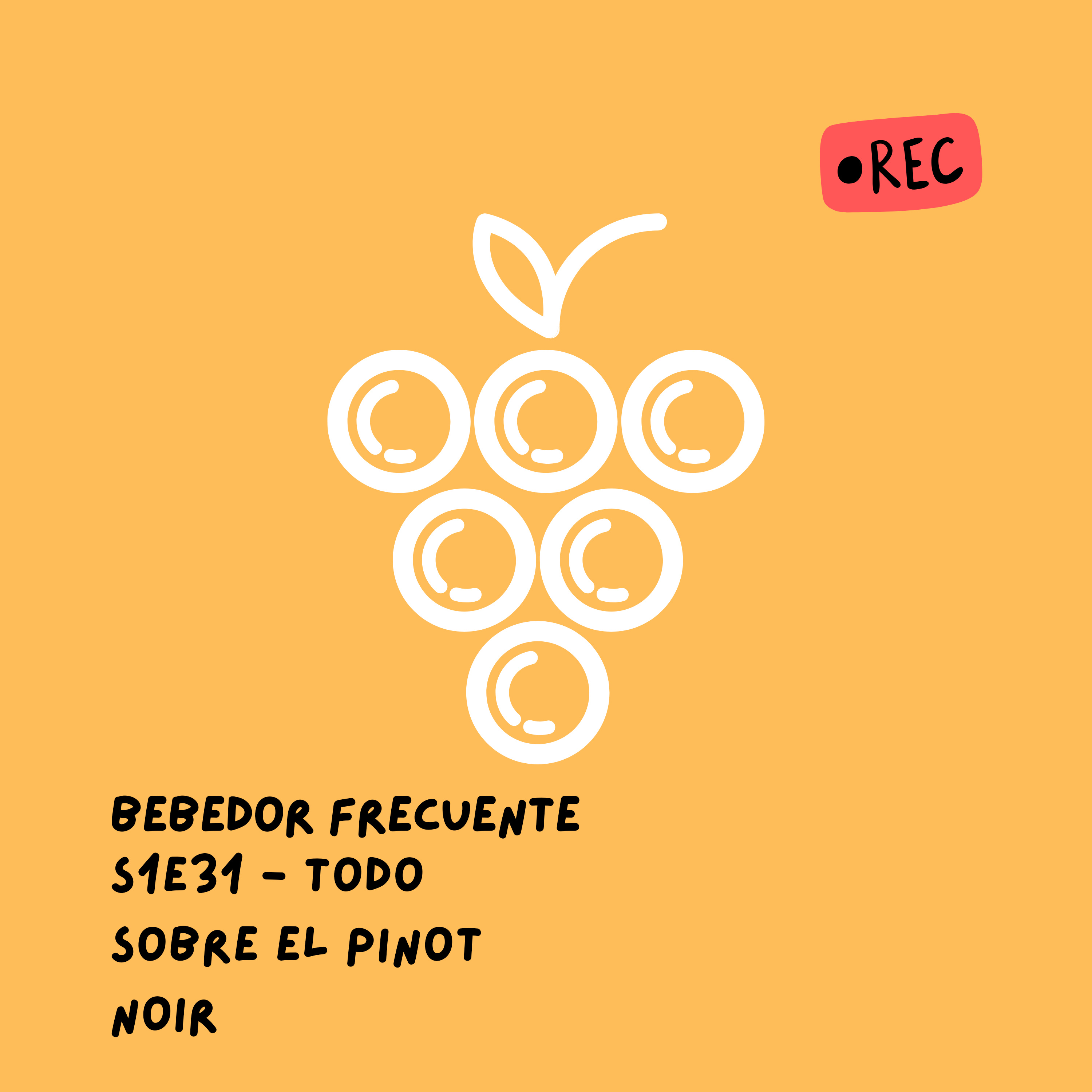 Bebedor Frecuente