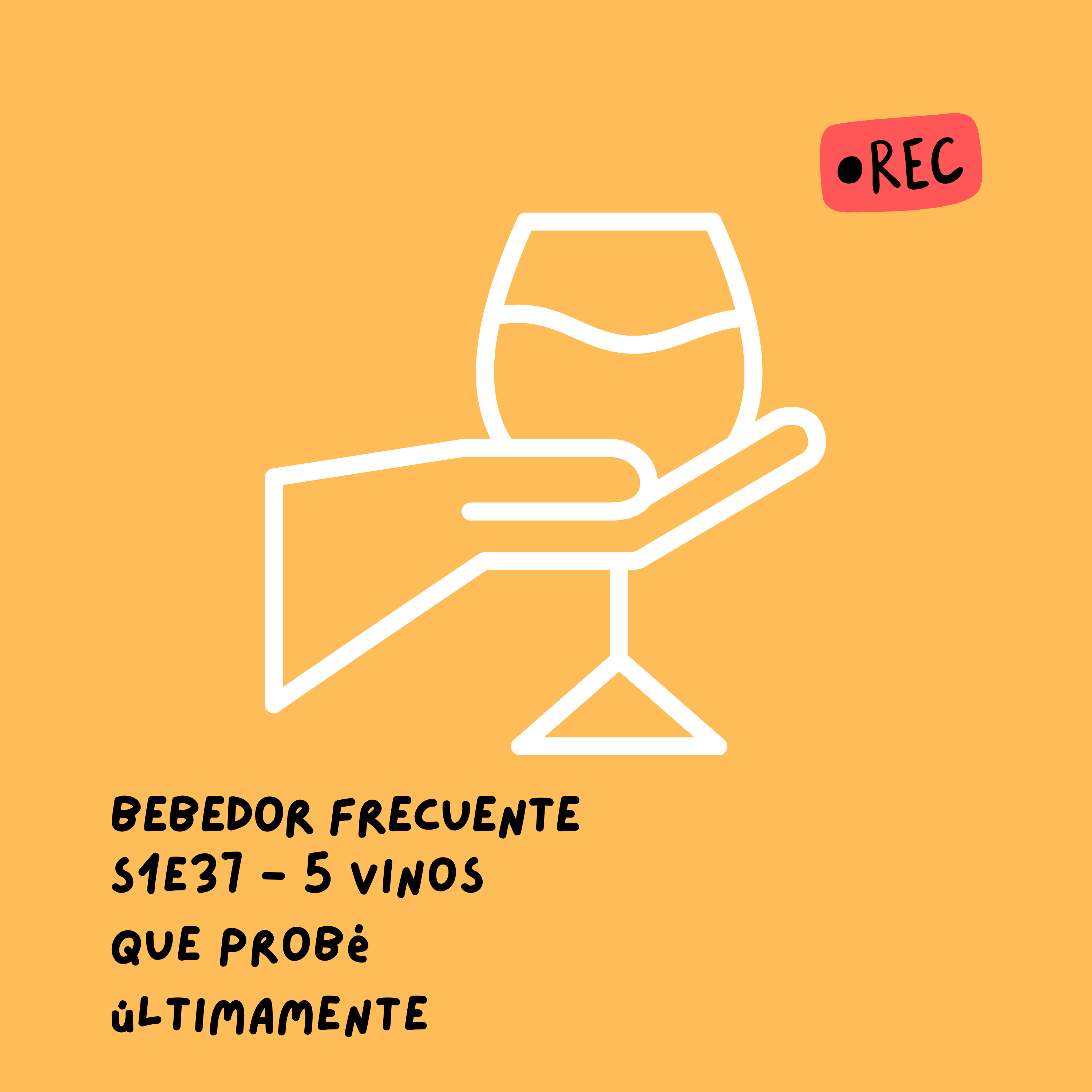 Bebedor Frecuente