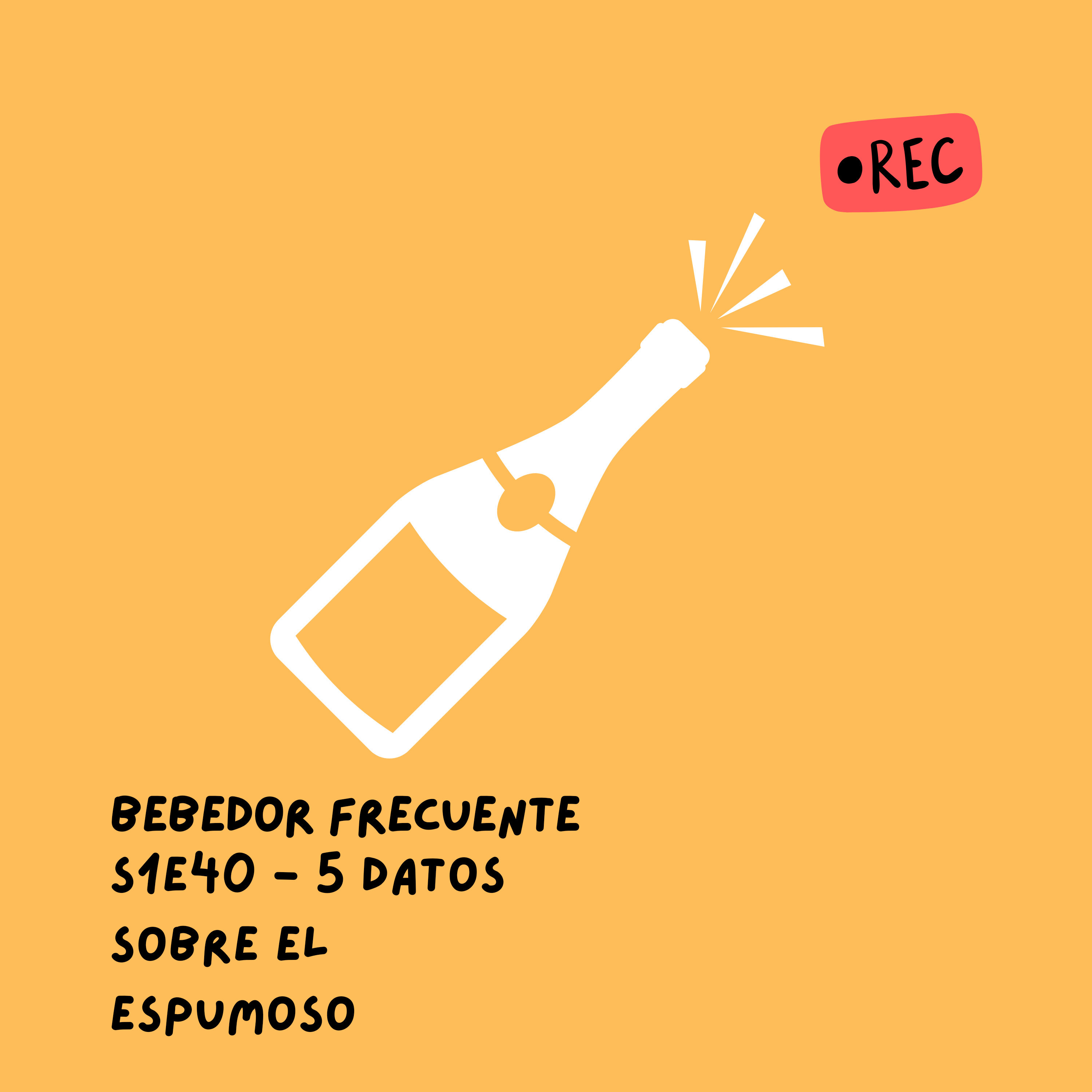 Bebedor Frecuente
