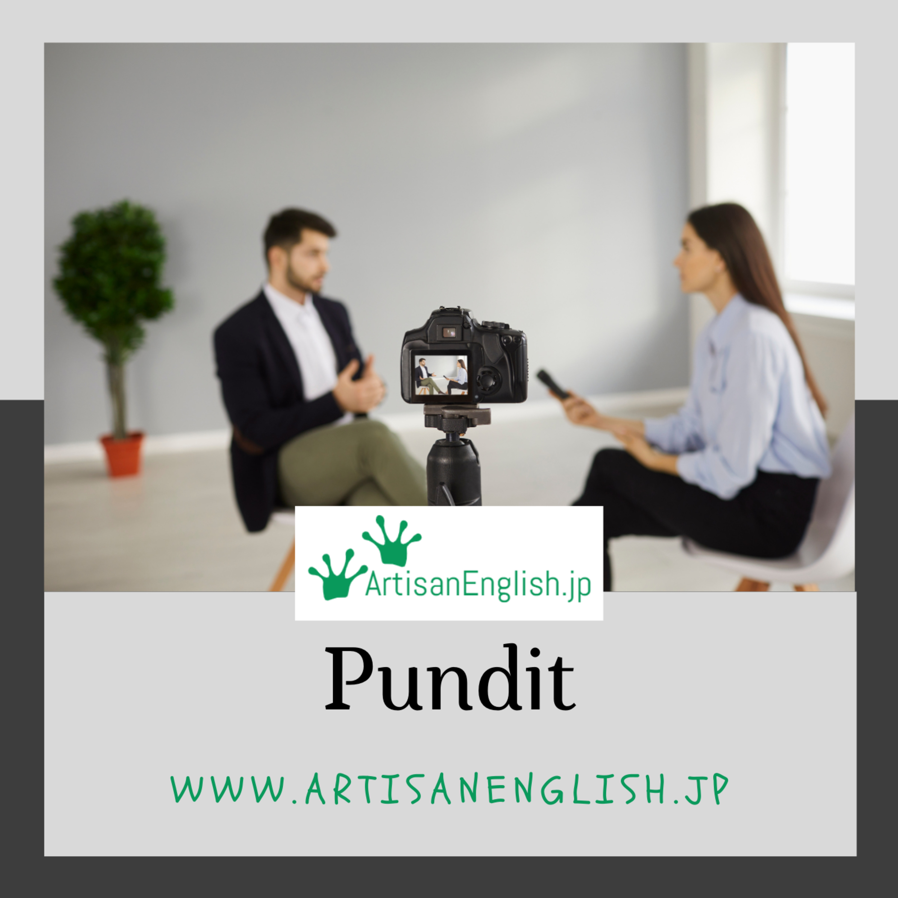 Pundit - ESL Word of the Day episode artwork