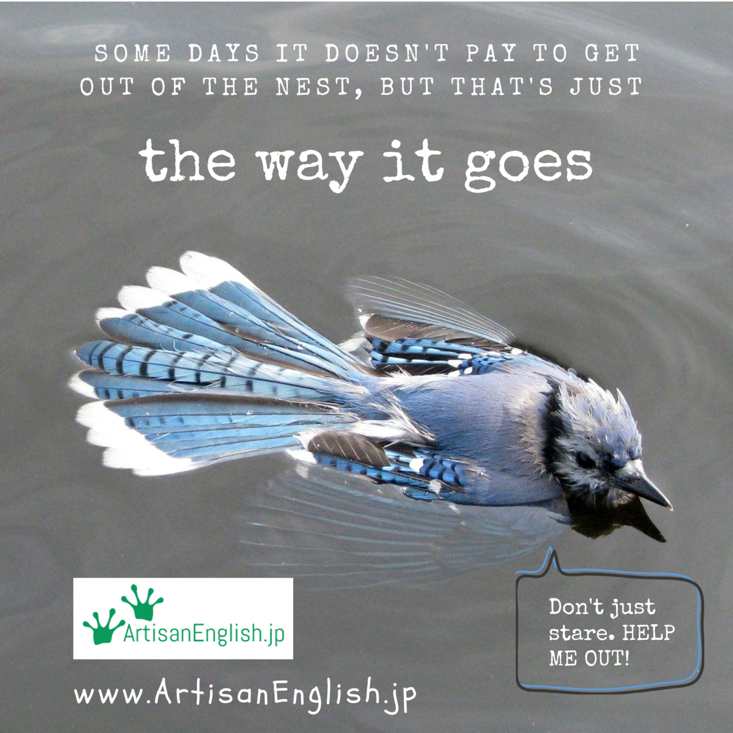 The way it goes - ArtisanEnglish ESL Idiom episode artwork