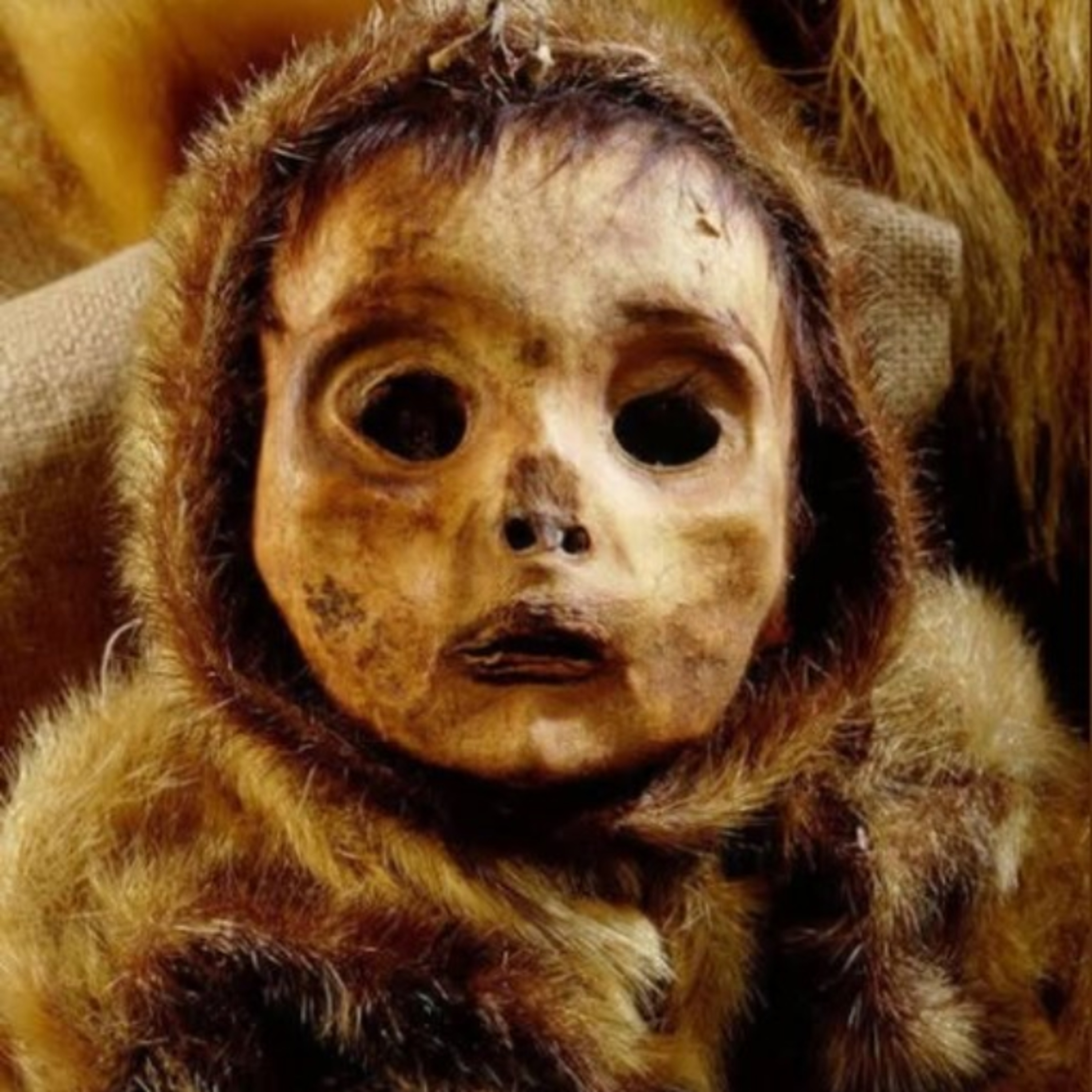 Are You My Mummy?: The Greenland Mummies episode artwork