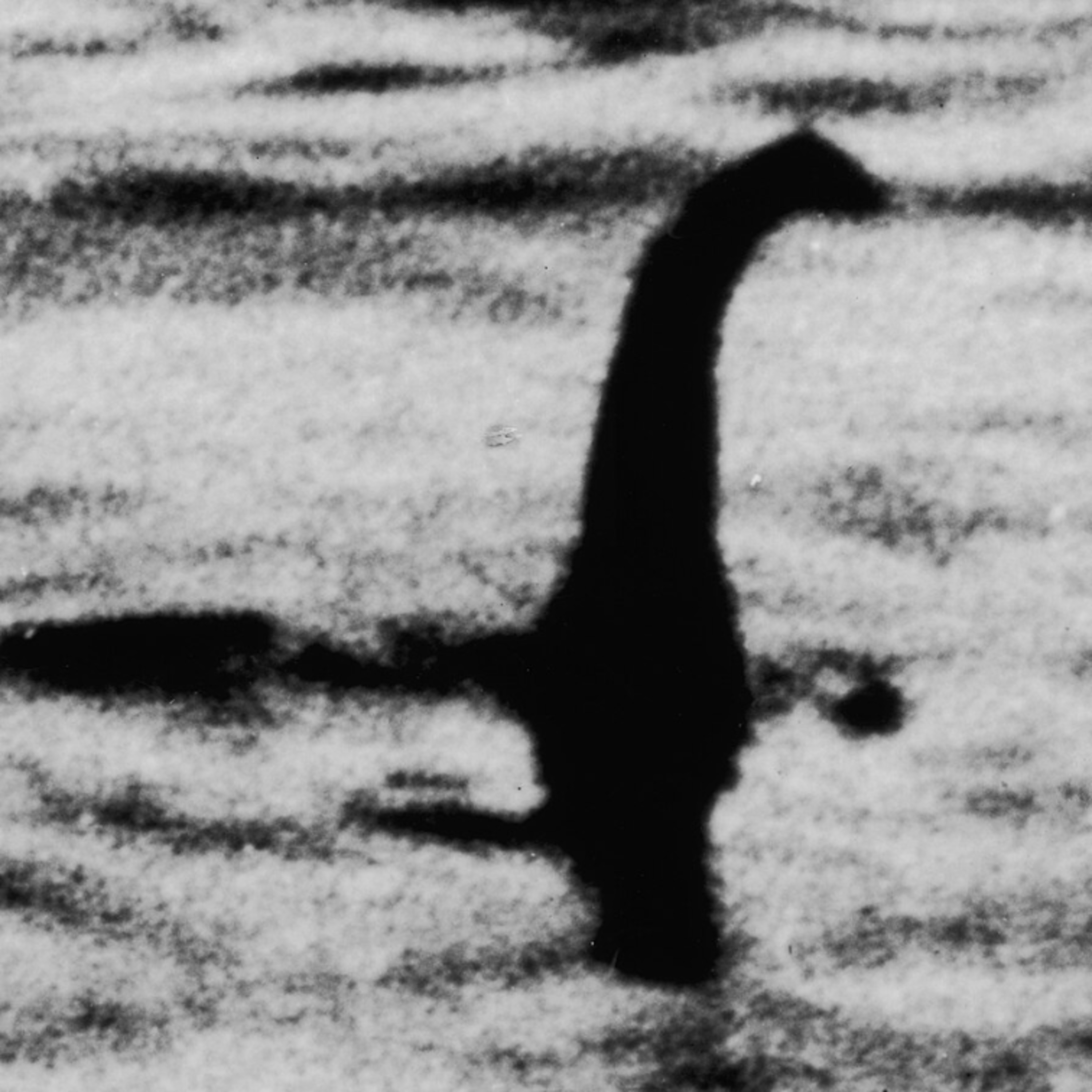 "Loch" and Load: The History of the Loch Ness Monster episode artwork