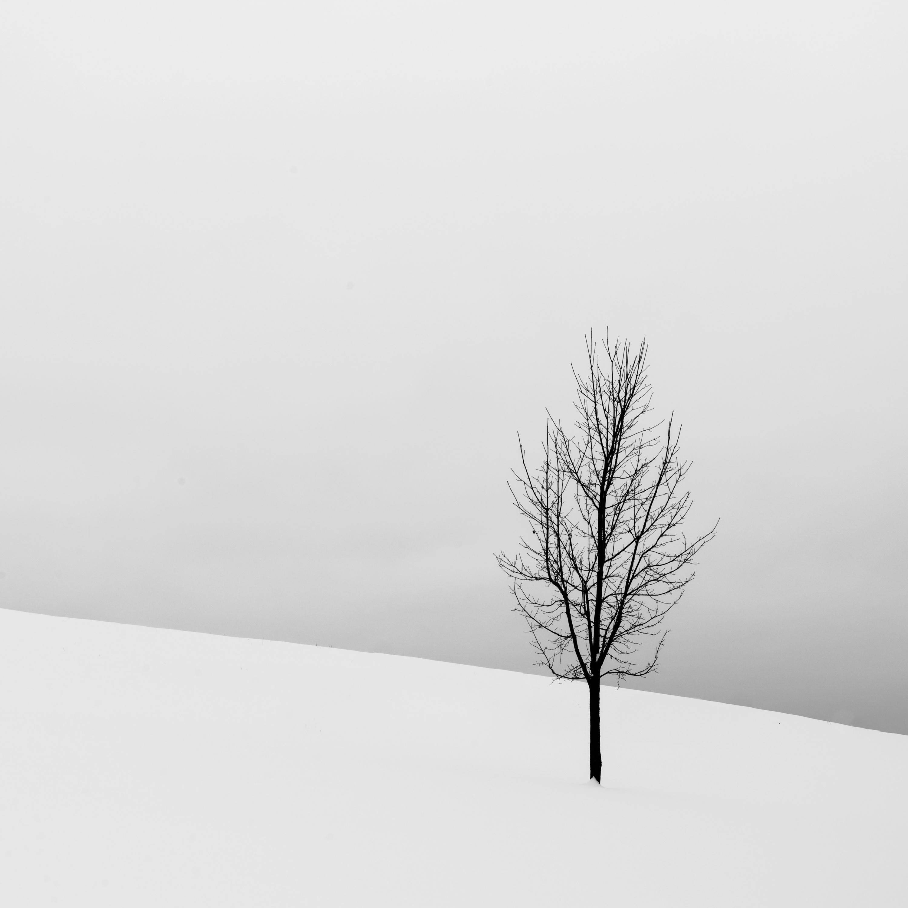 مدیتیشن لبخند