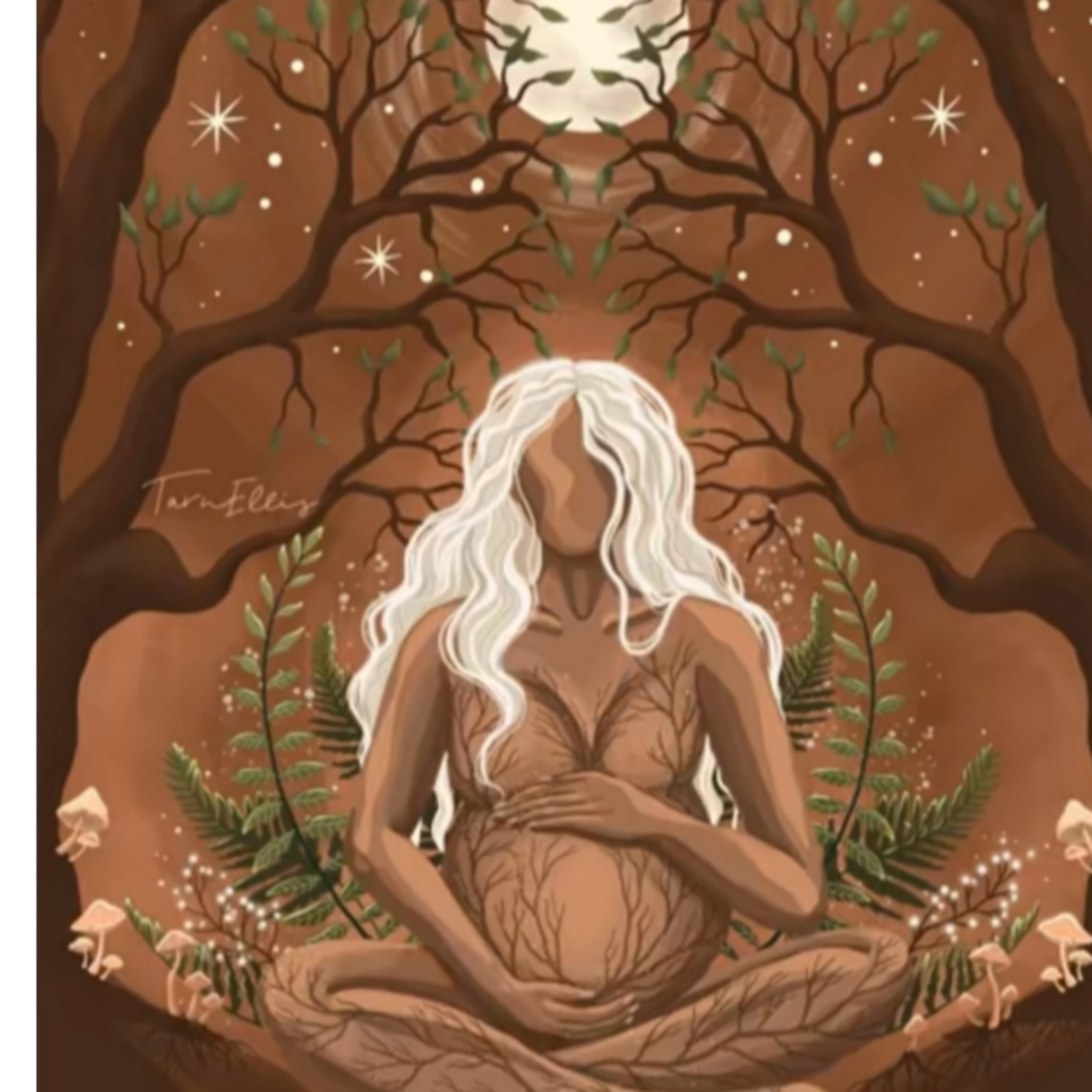 مدیتیشن جذب ثروت