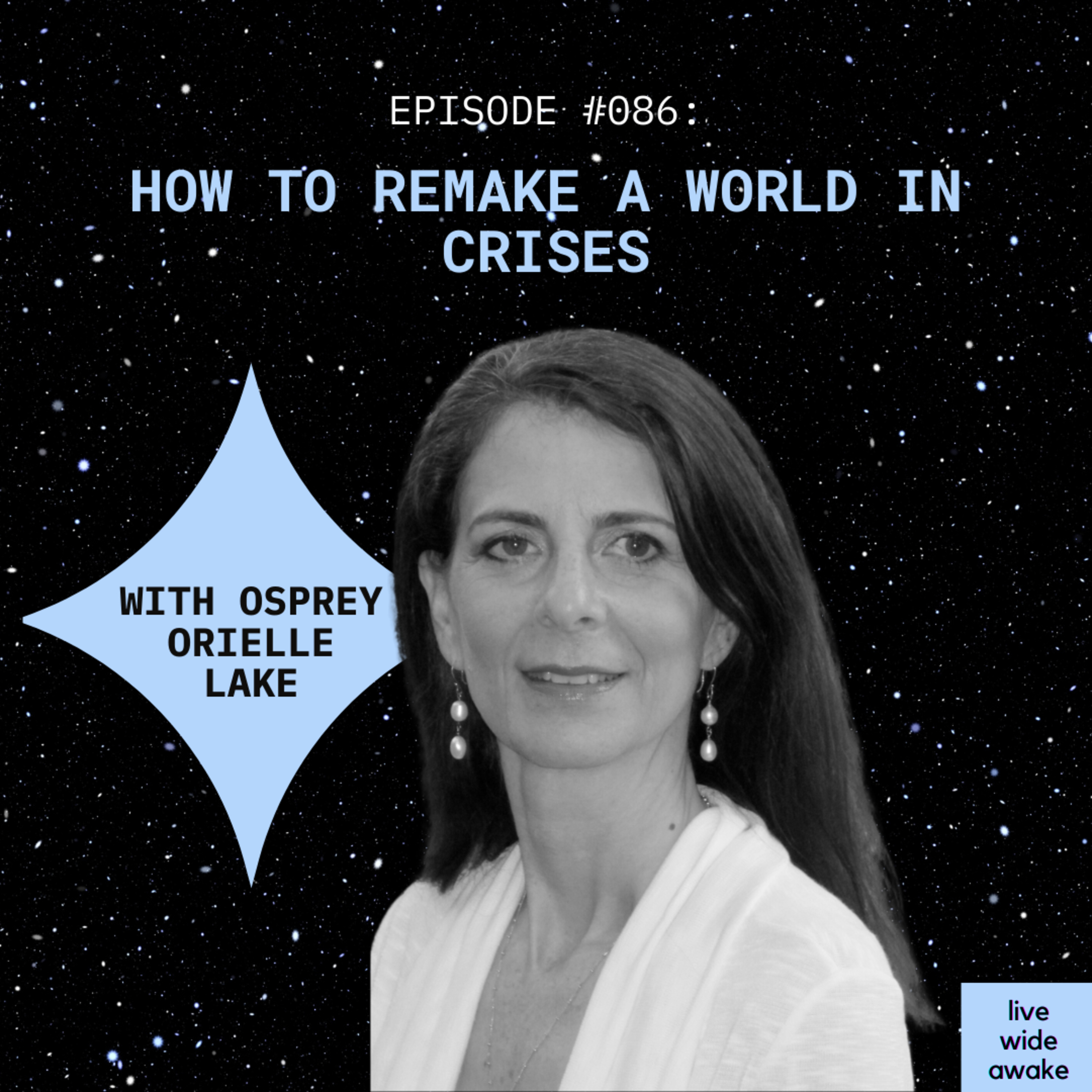 Live Wide Awake - Sustainability & Conscious Leadership