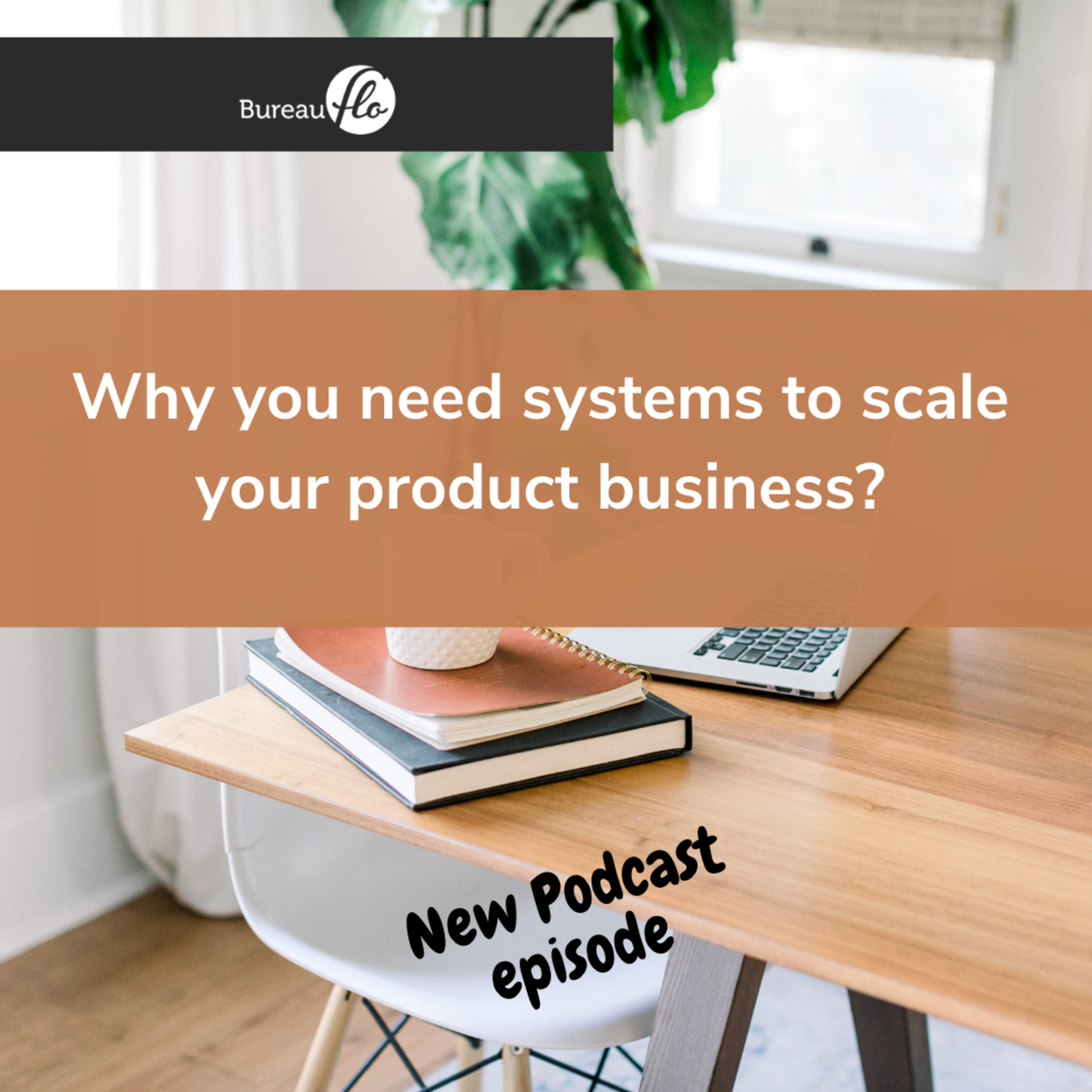 From Product Idea to a Thriving Business
