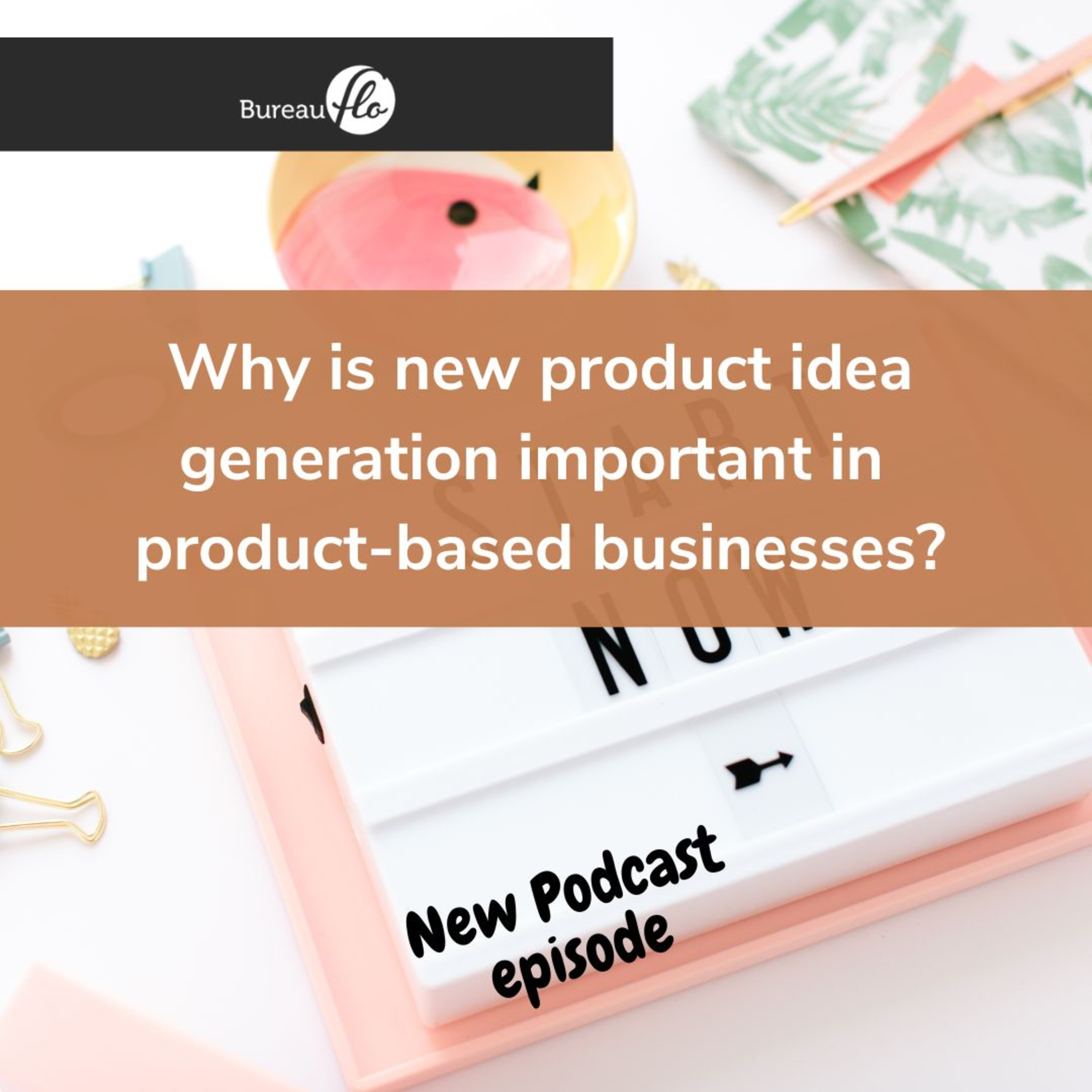 From Product Idea to a Thriving Business