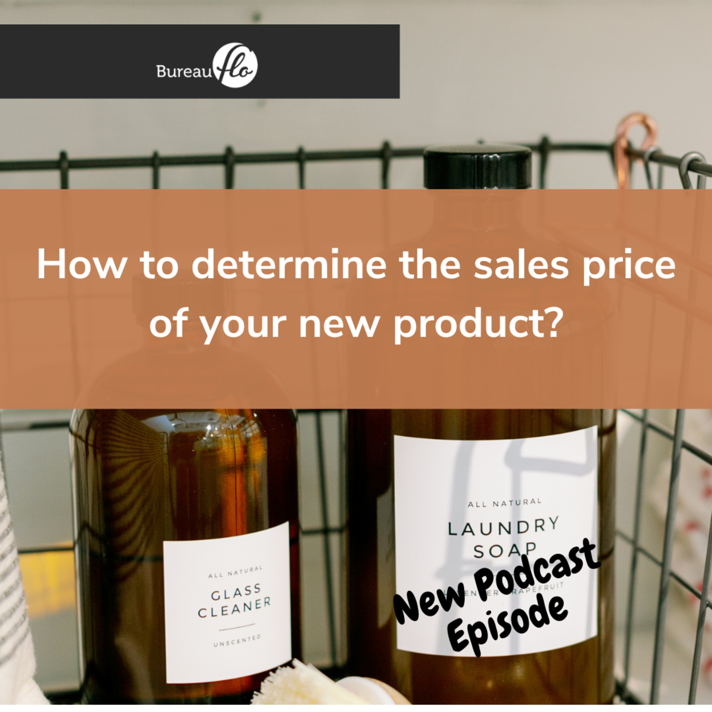 From Product Idea to a Thriving Business
