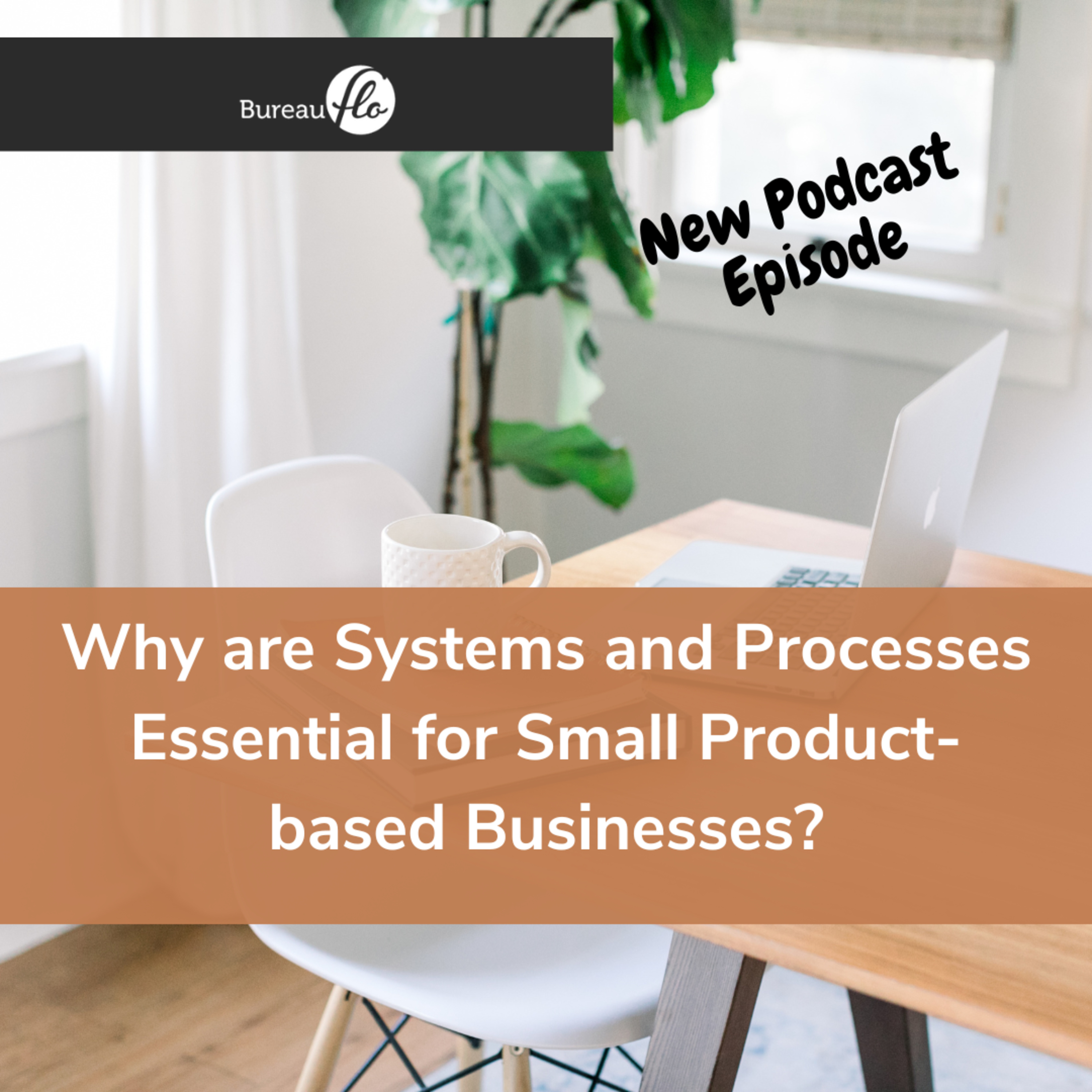 From Product Idea to a Thriving Business