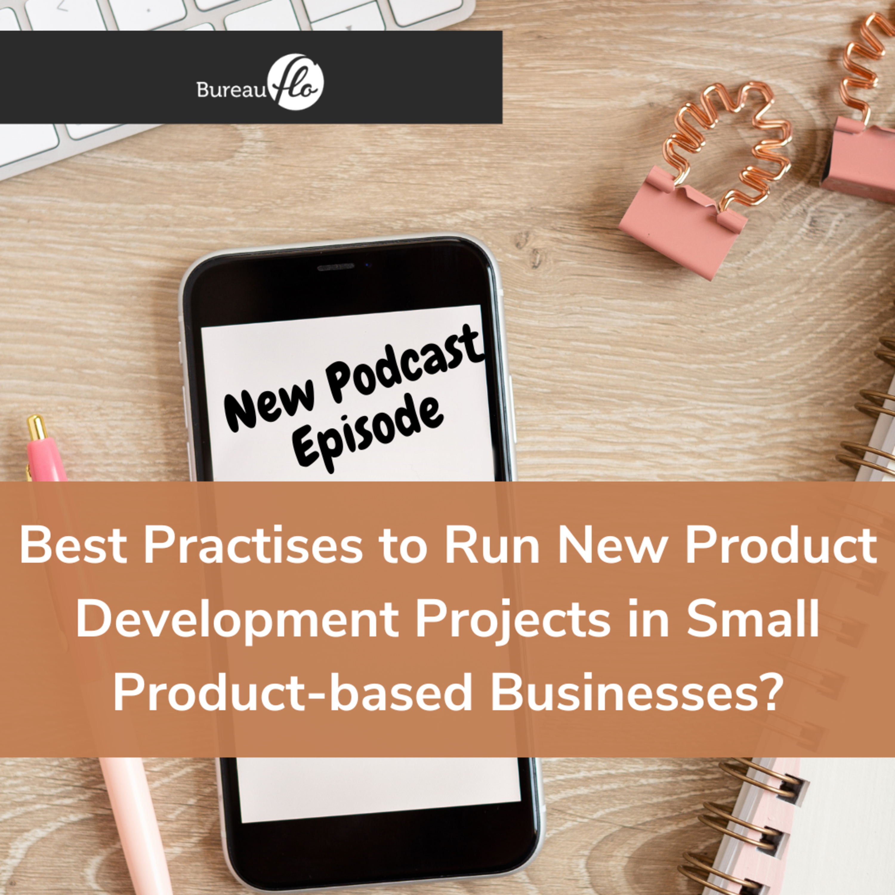 From Product Idea to a Thriving Business
