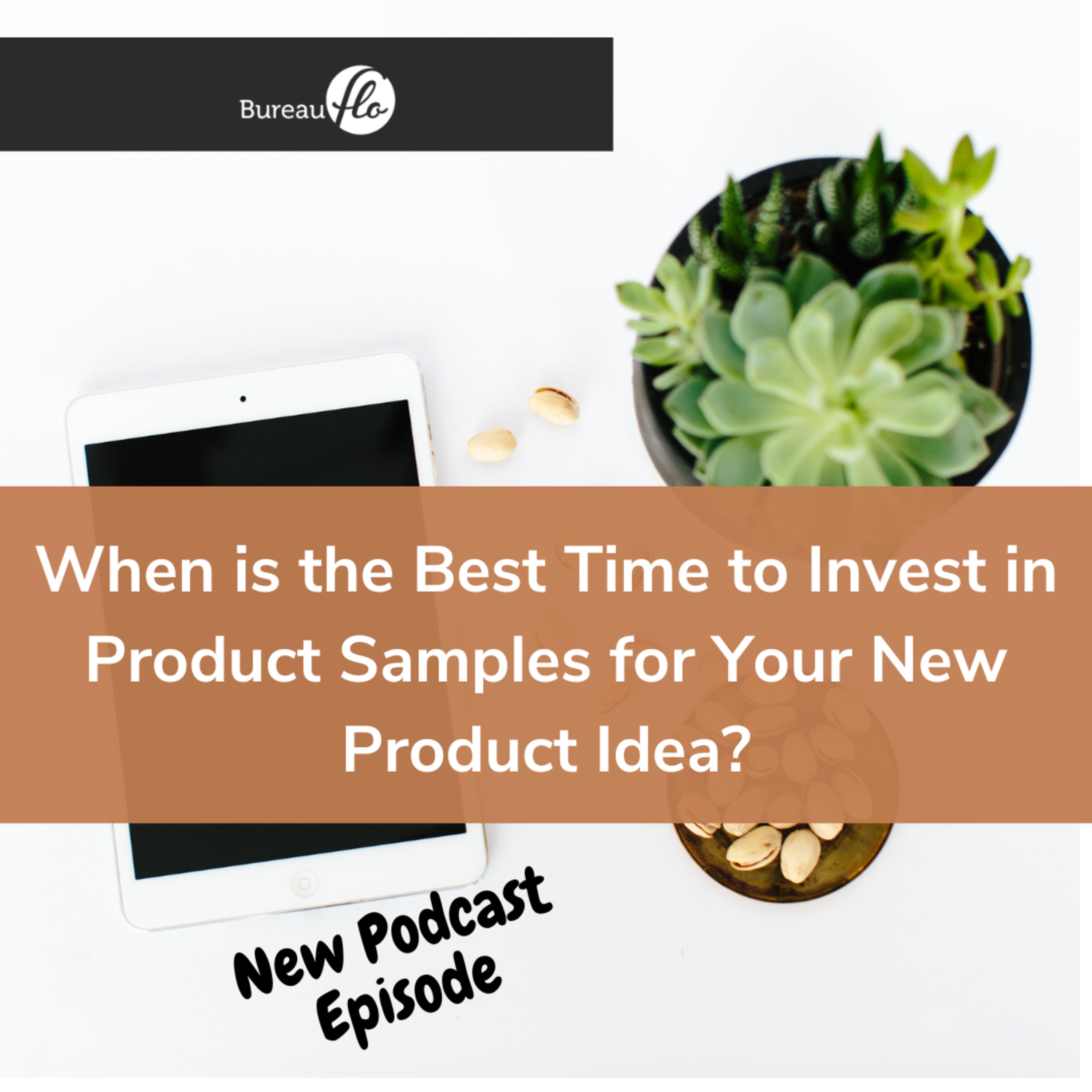 From Product Idea to a Thriving Business