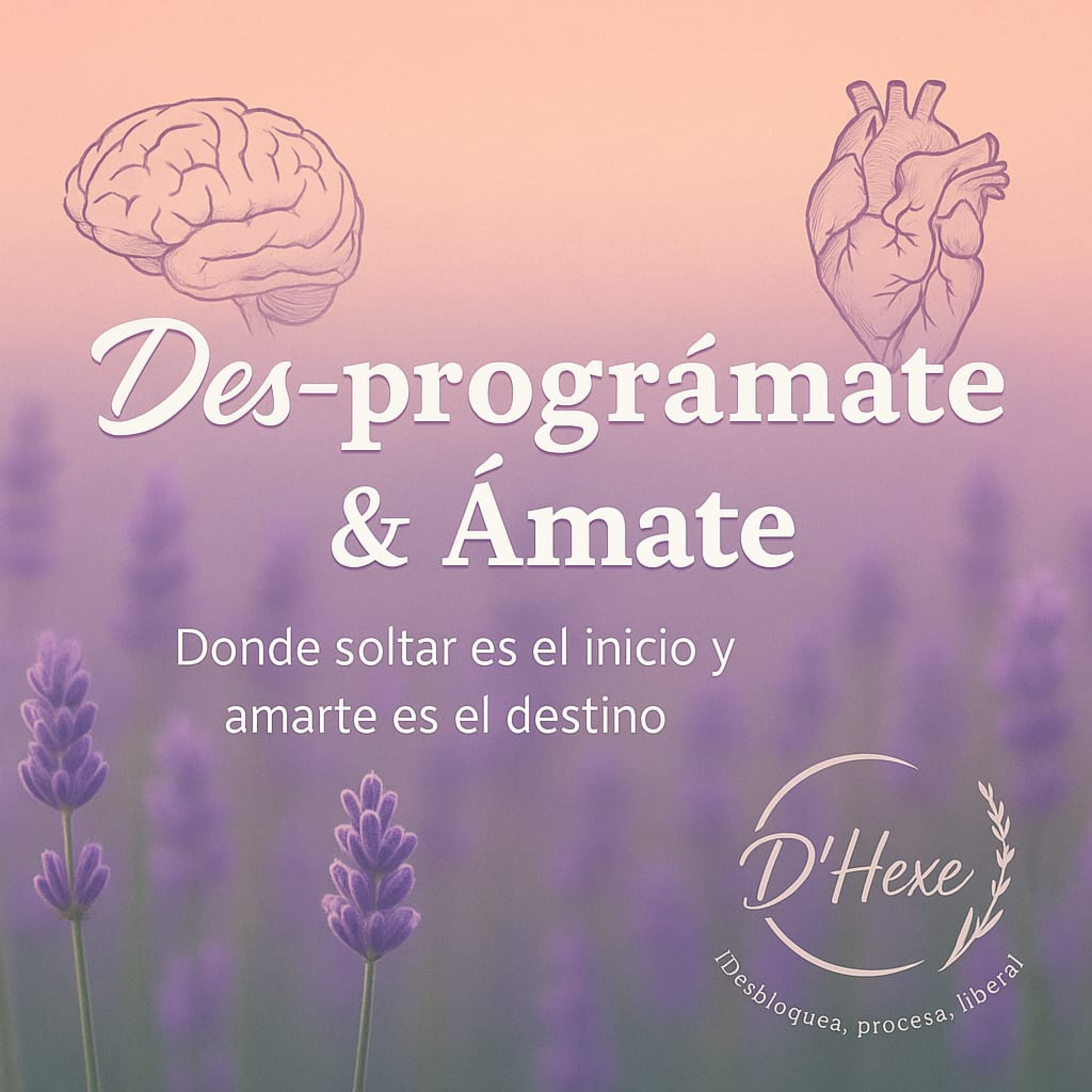 Des-prográmate y Ámate