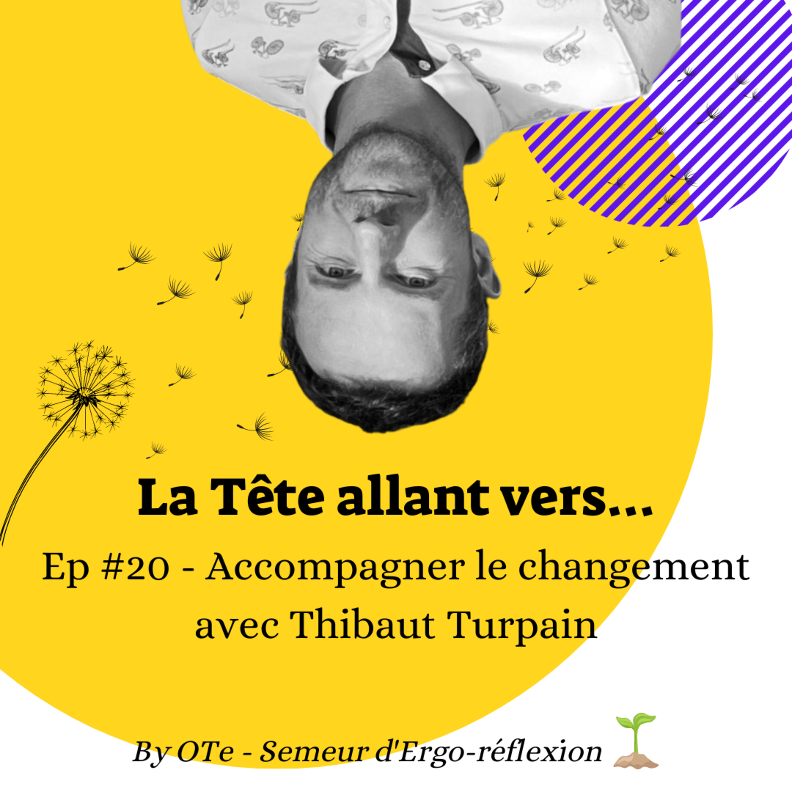 Occupe Ton Ergo